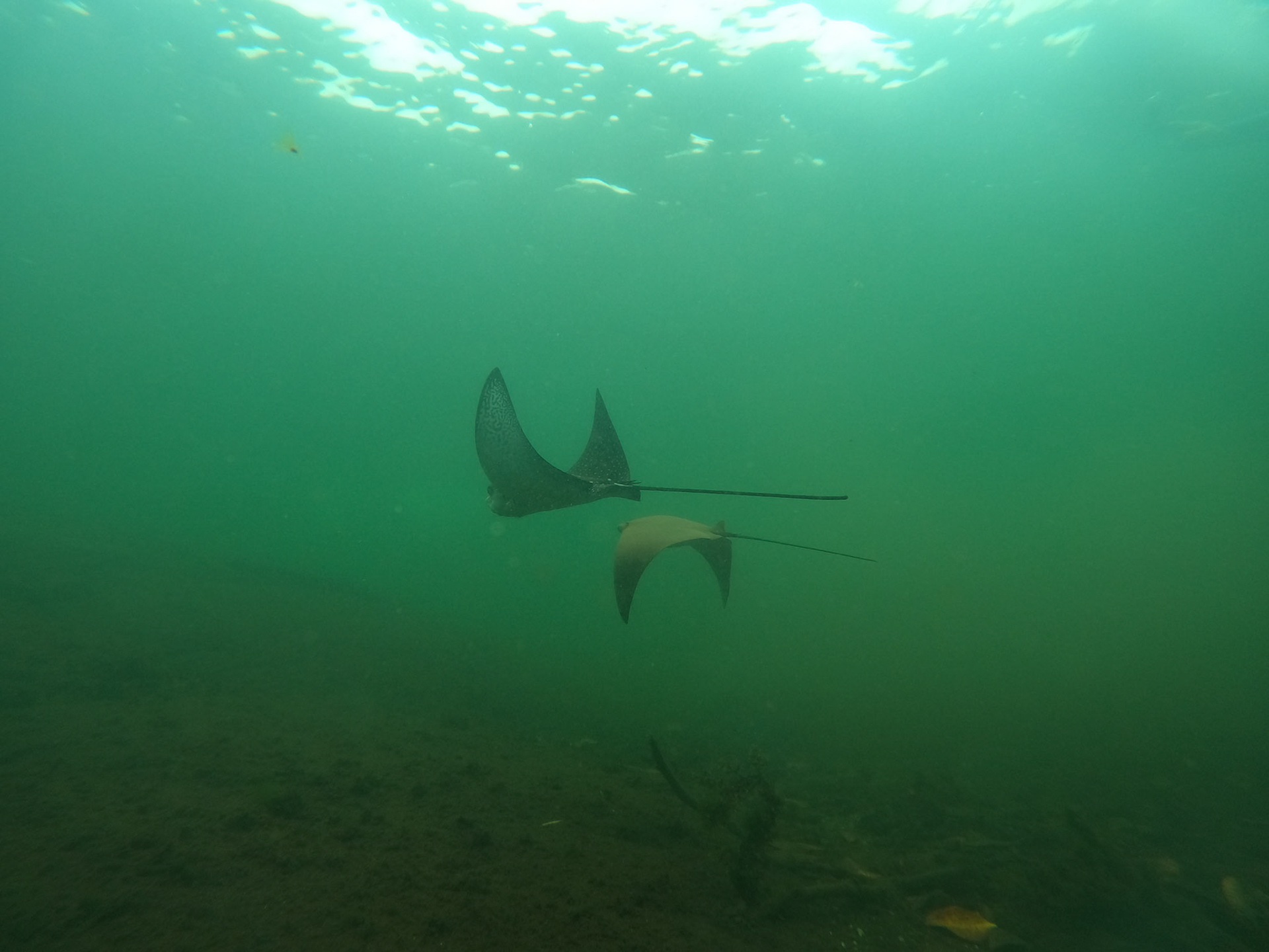 DCIM\100GOPRO\GOPR3485.JPG