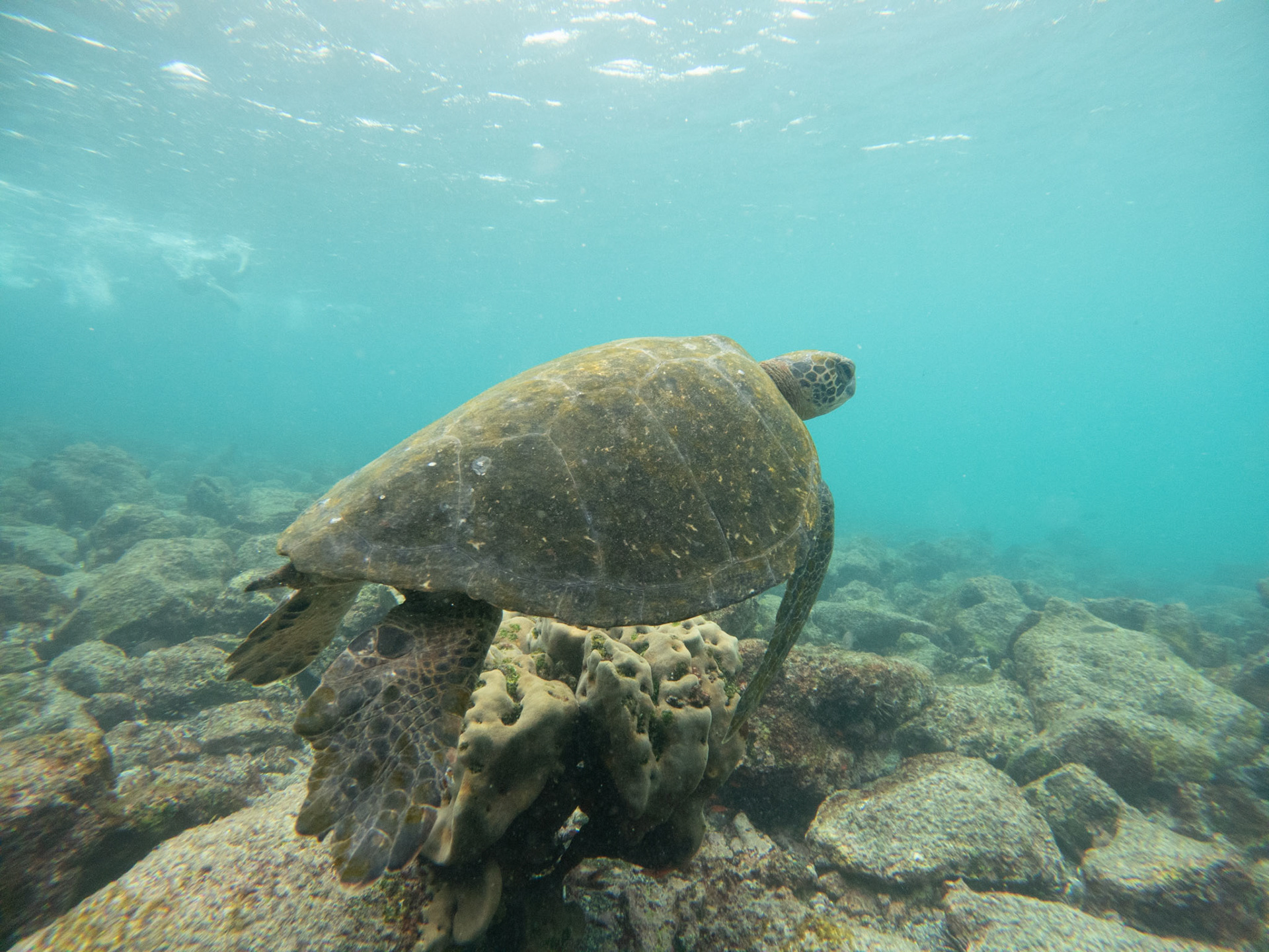 C:\DCIM\100GOPRO\GOPR5625.GPR