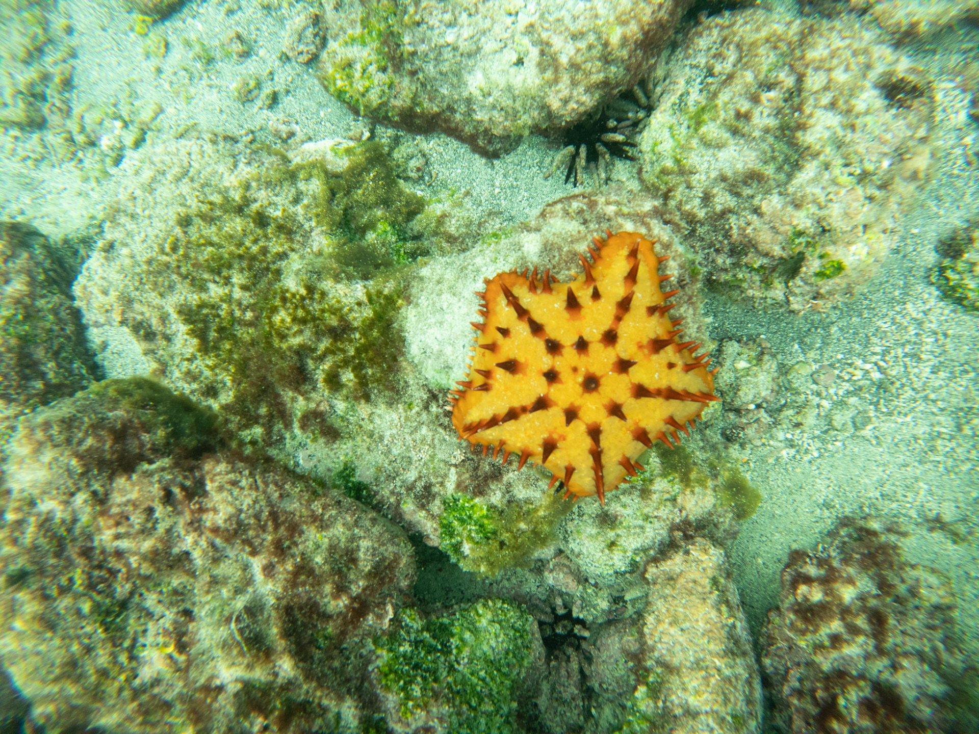 C:\DCIM\100GOPRO\GOPR5628.GPR