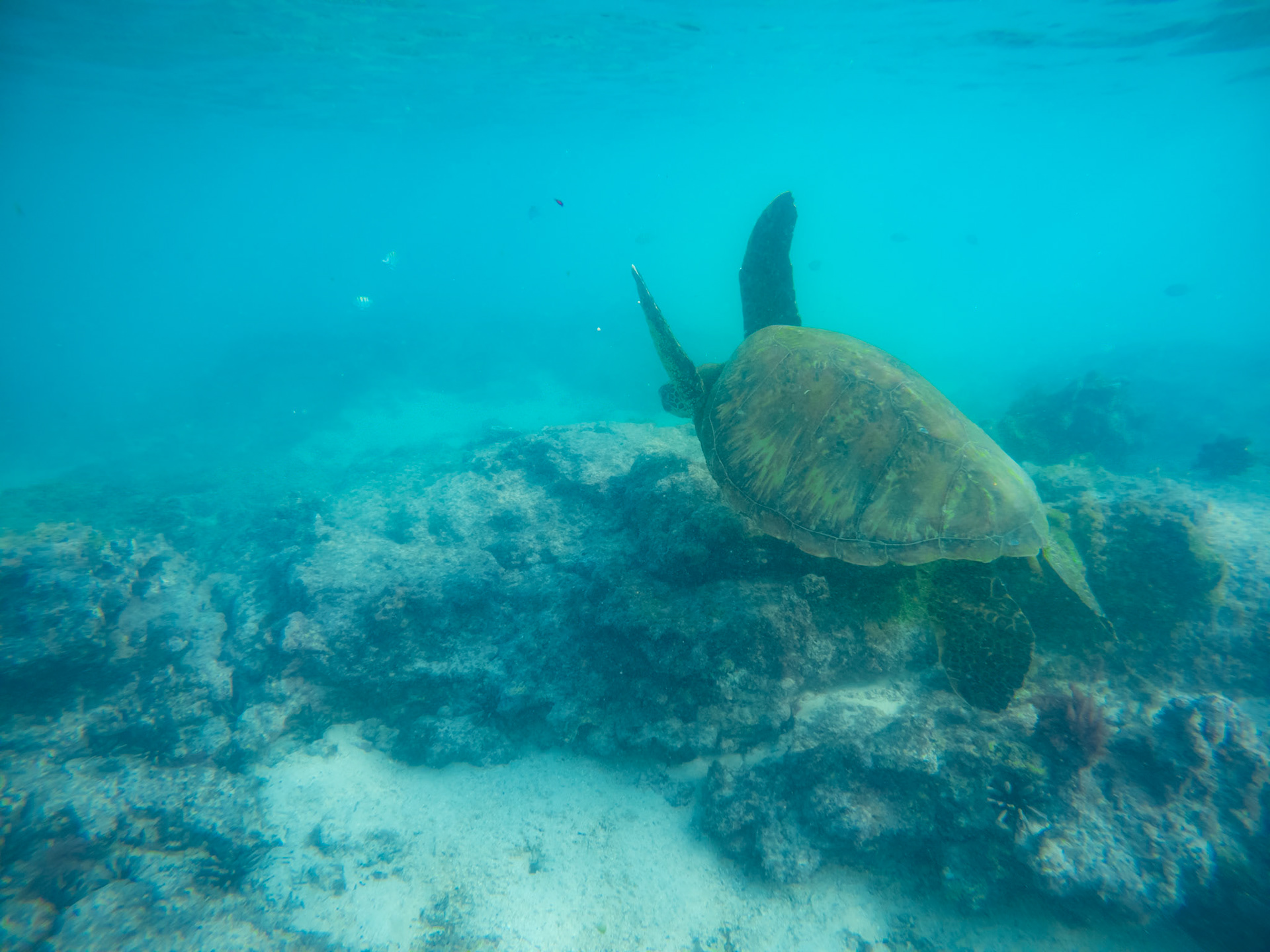 C:\DCIM\100GOPRO\GOPR0016.GPR