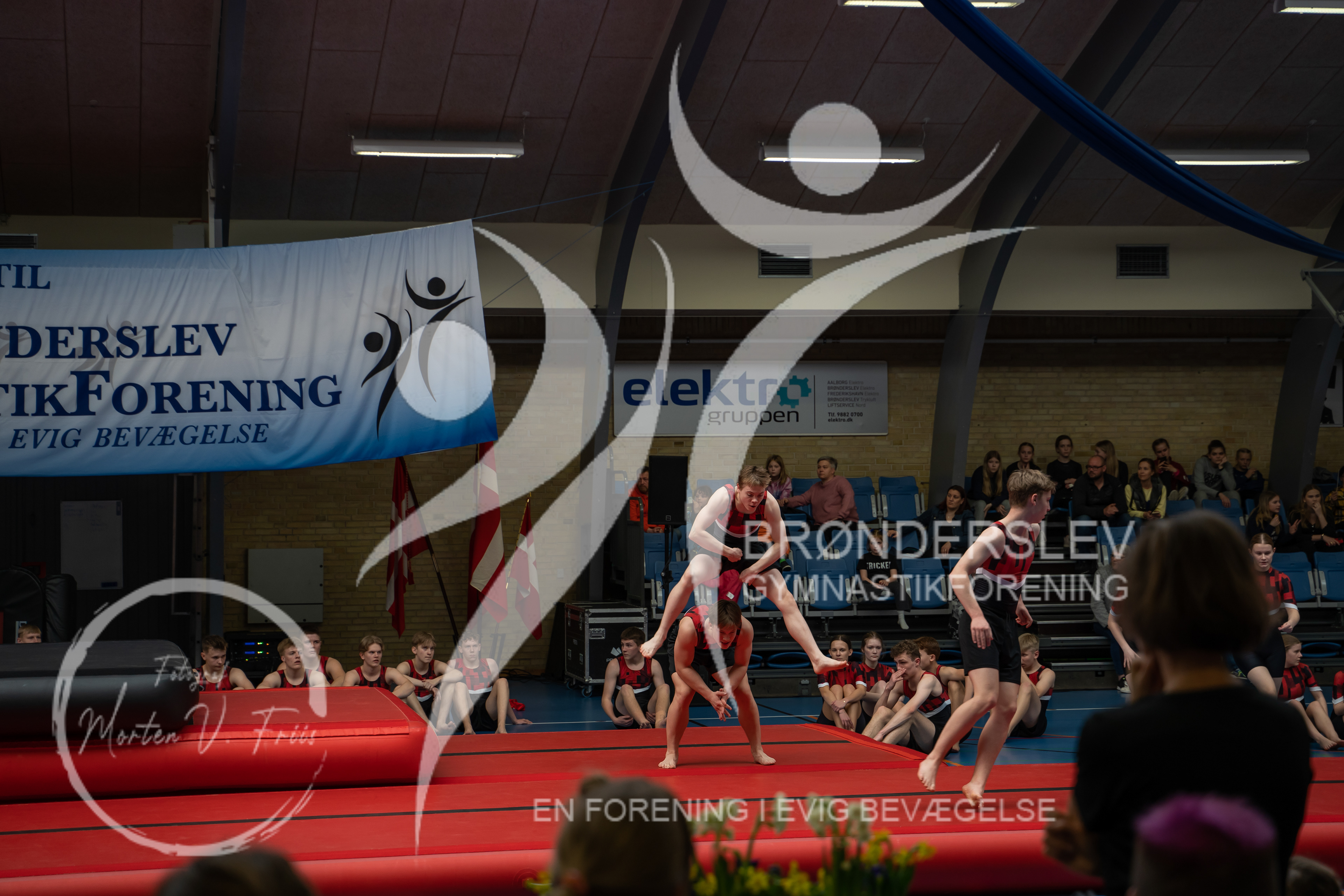BGF 2022-1416