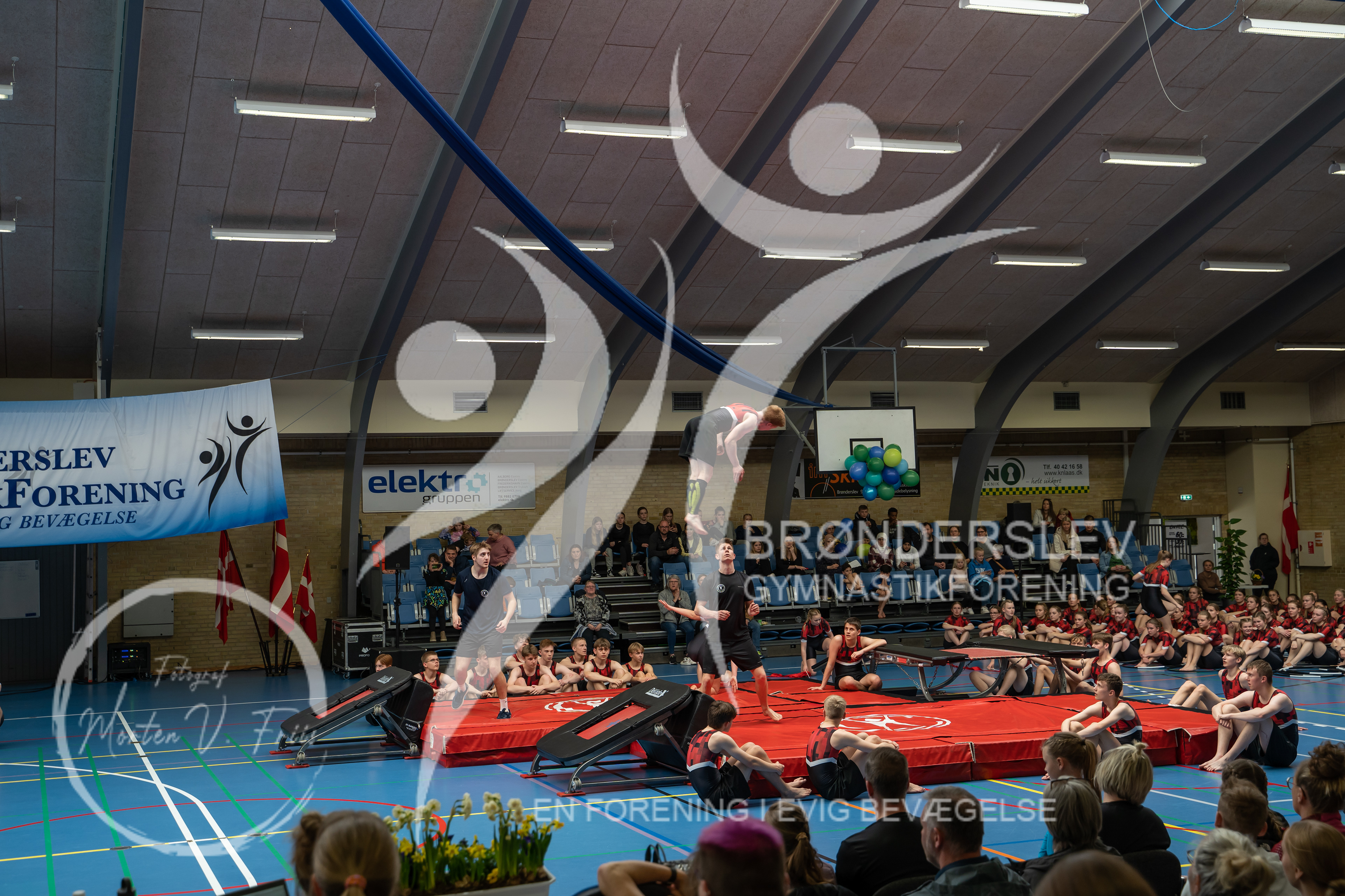 BGF 2022-1439