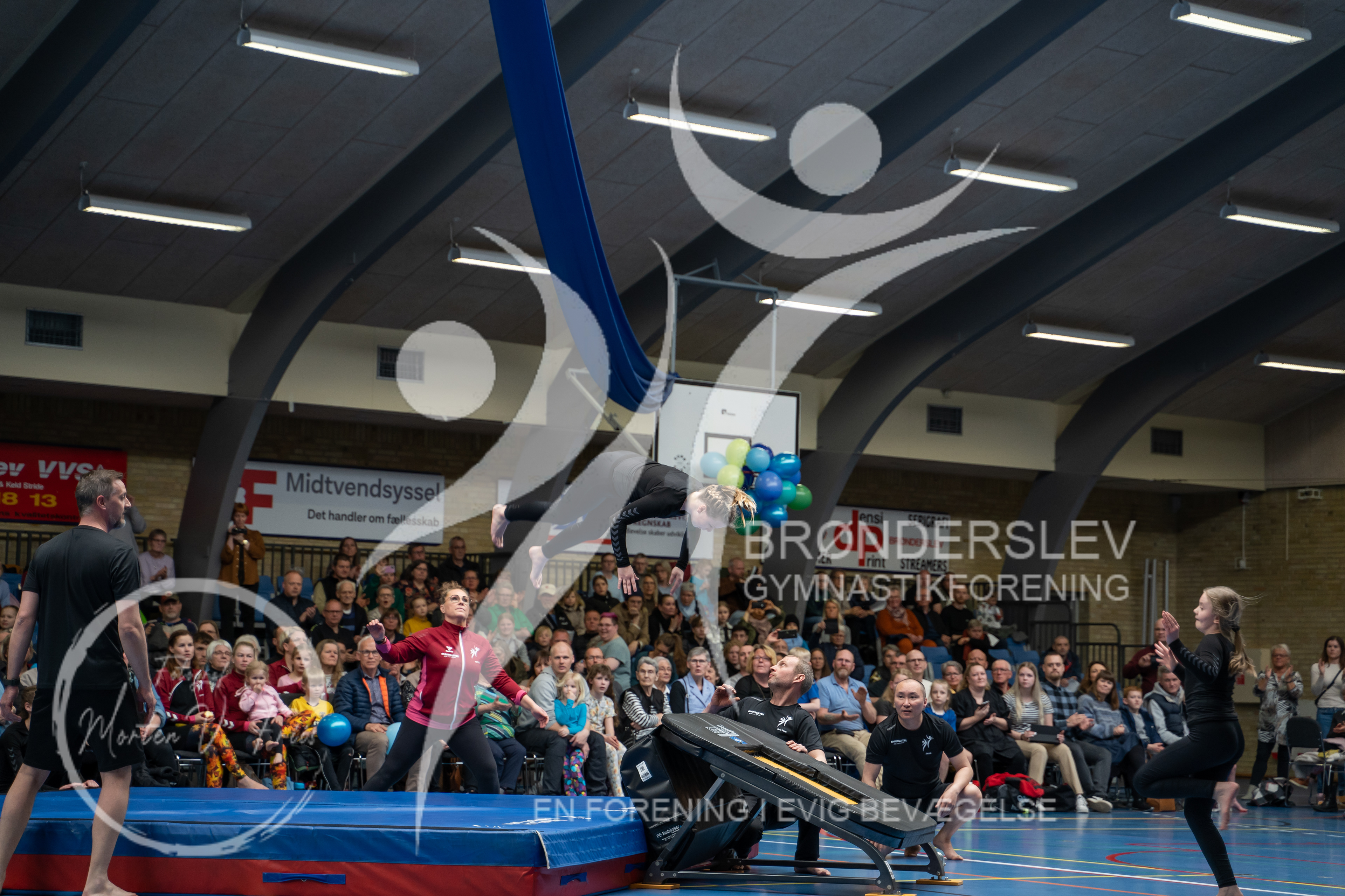 BGF 2022-981