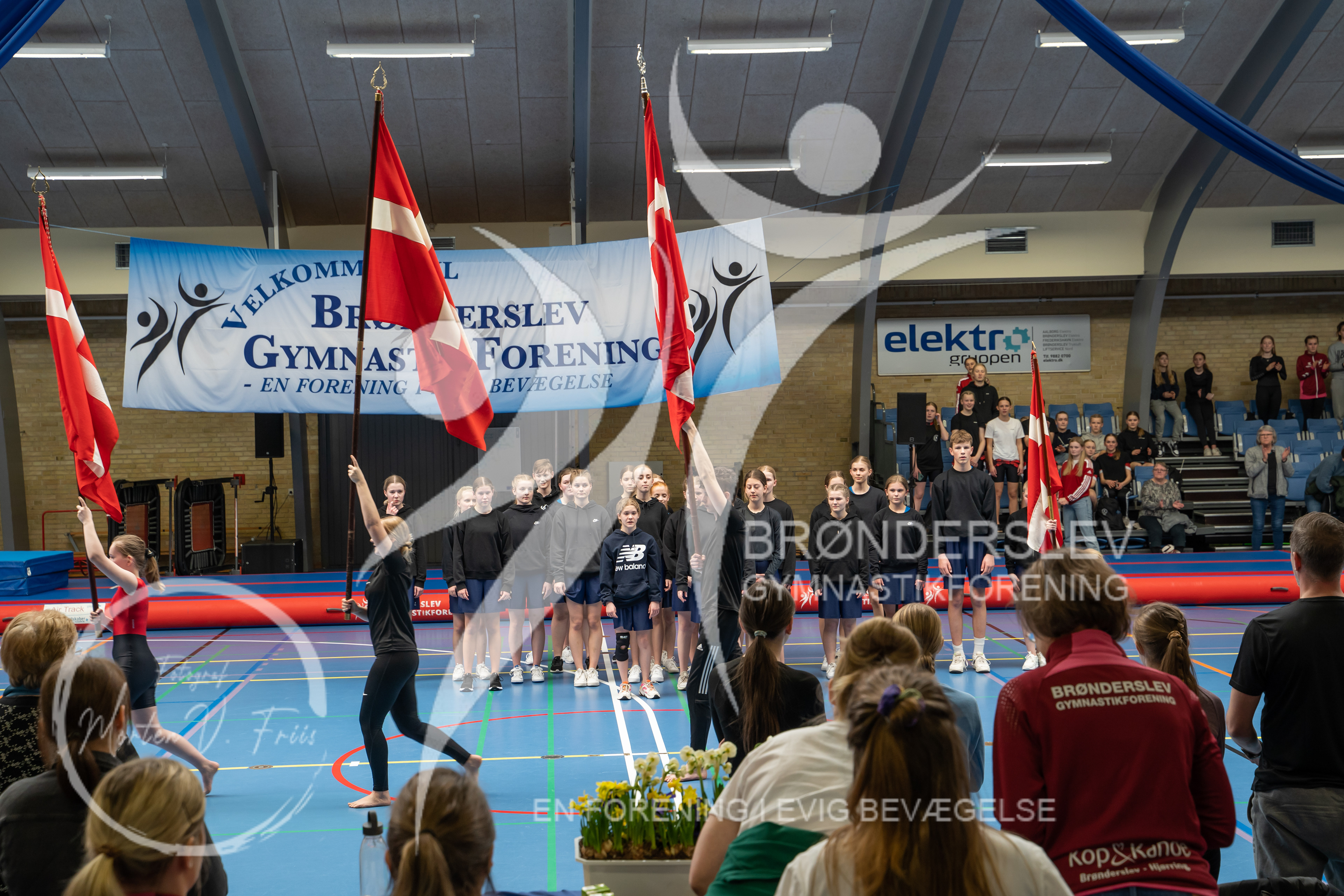 BGF 2022-1583