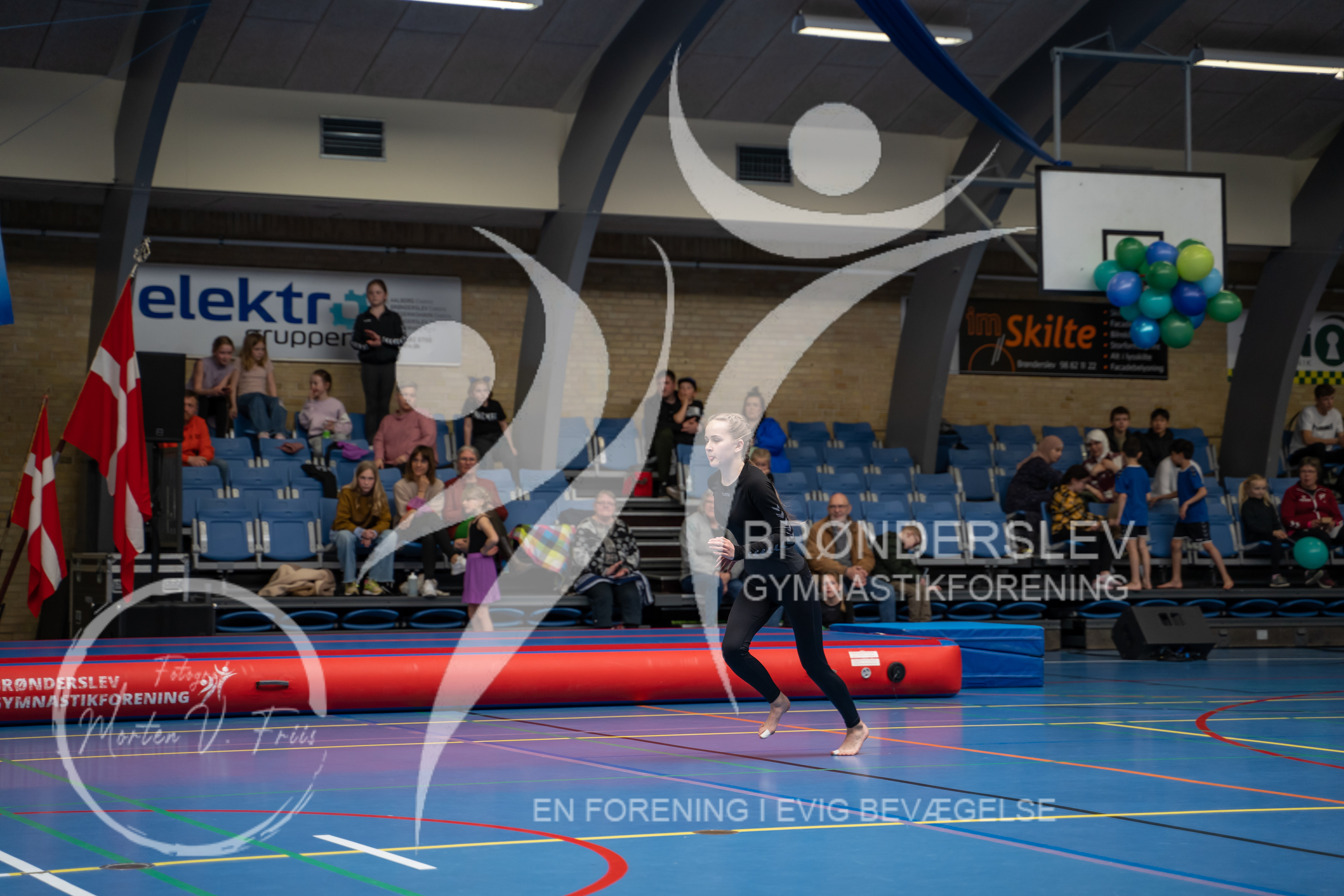 BGF 2022-1113