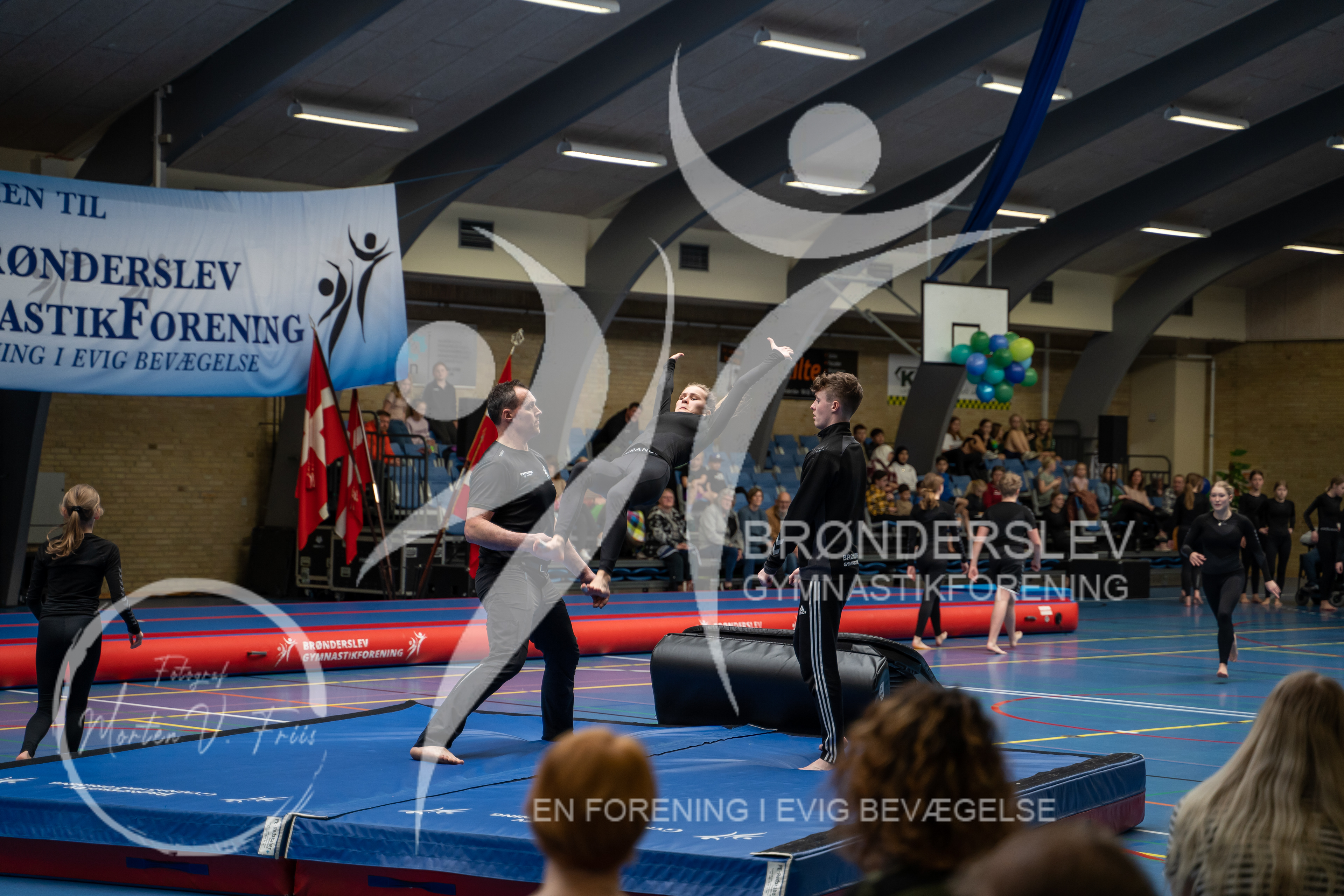 BGF 2022-1445