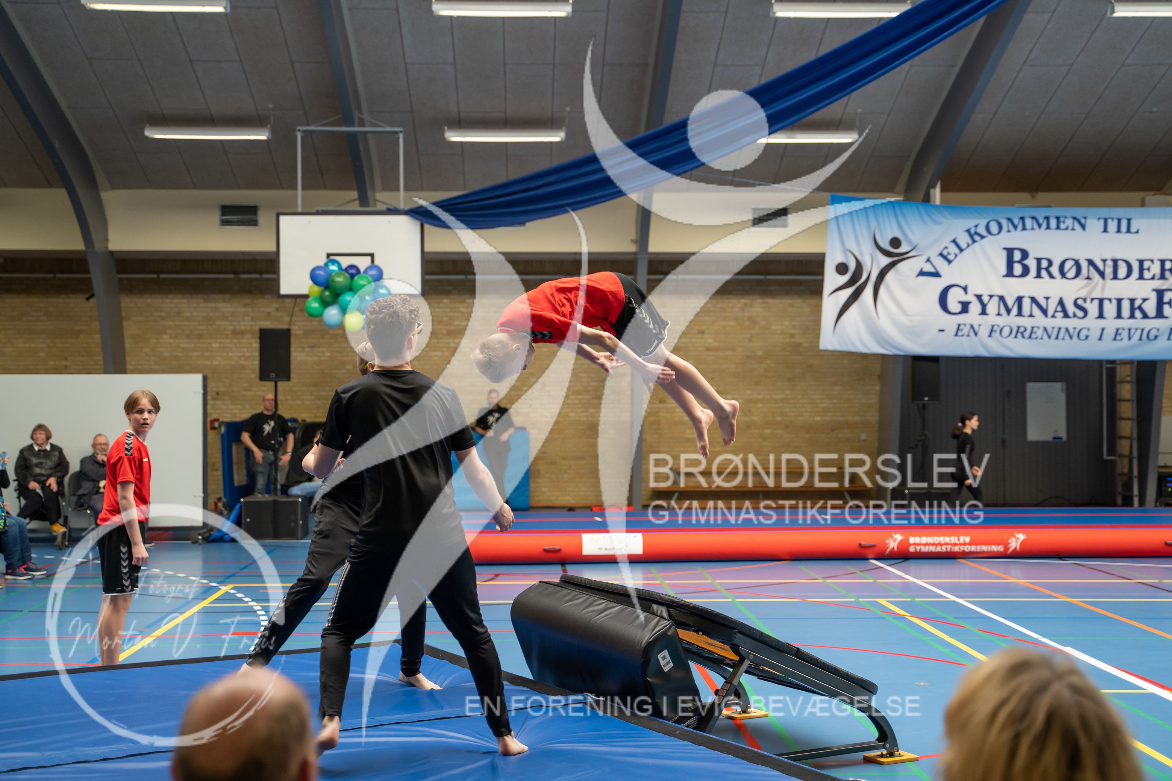 BGF 2022-1085