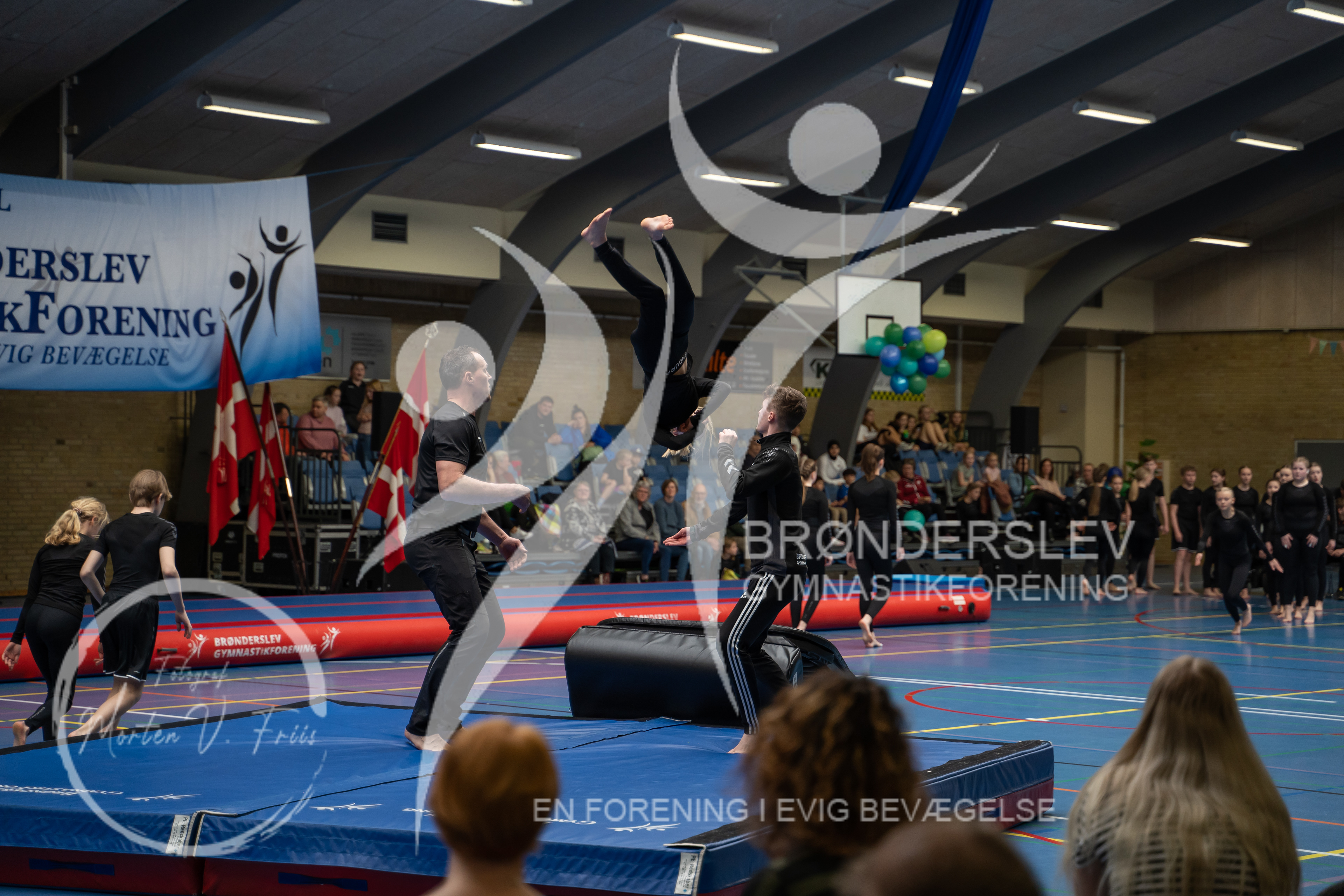 BGF 2022-1156