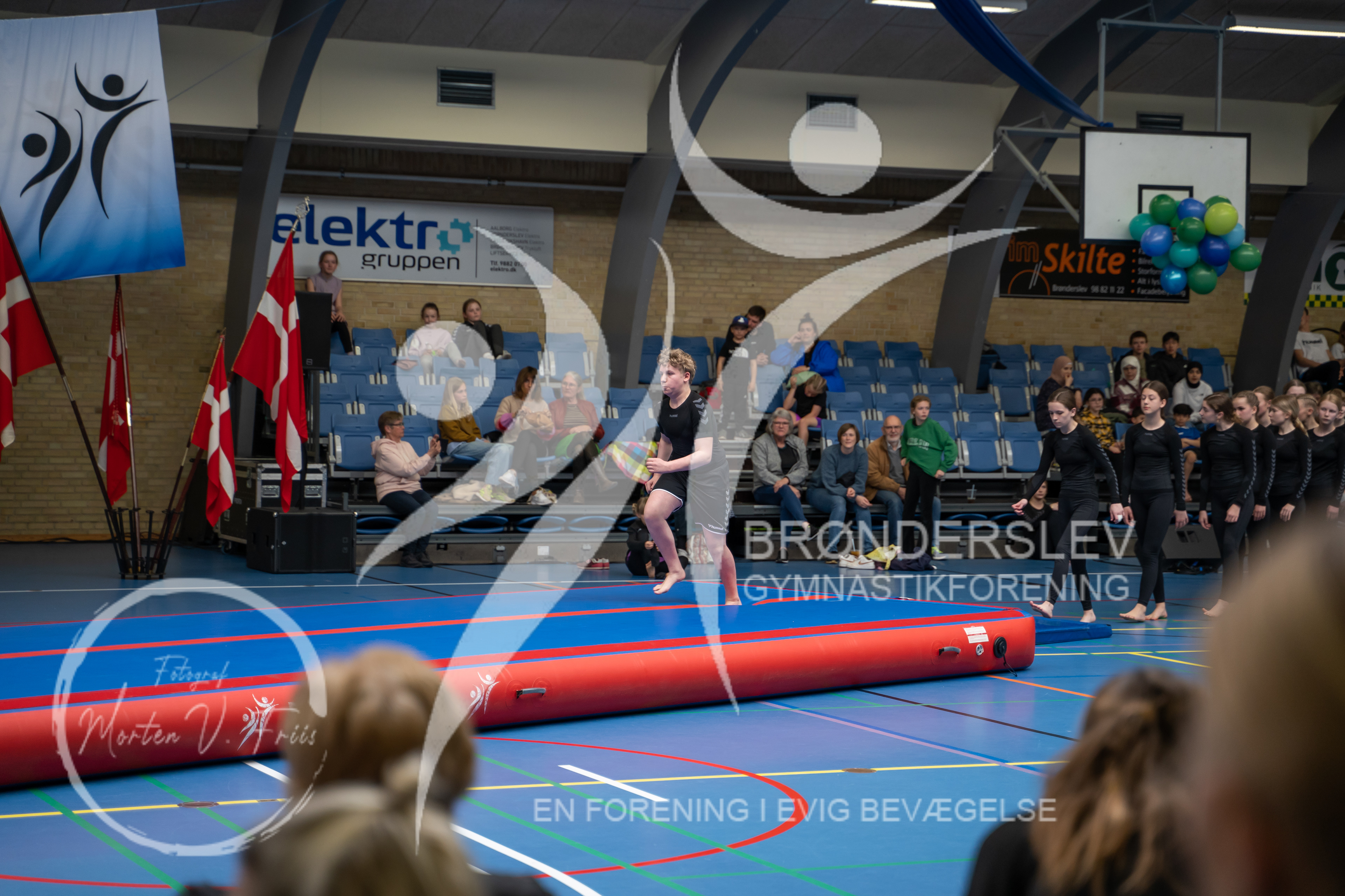 BGF 2022-1185