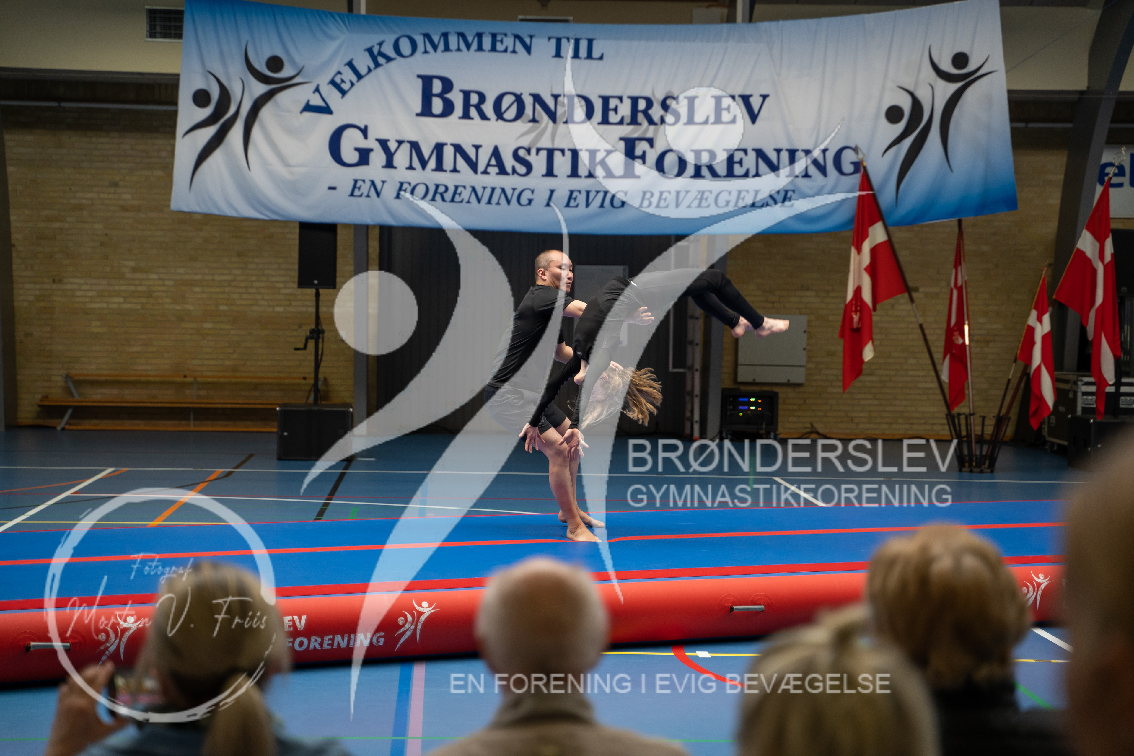 BGF 2022-1261