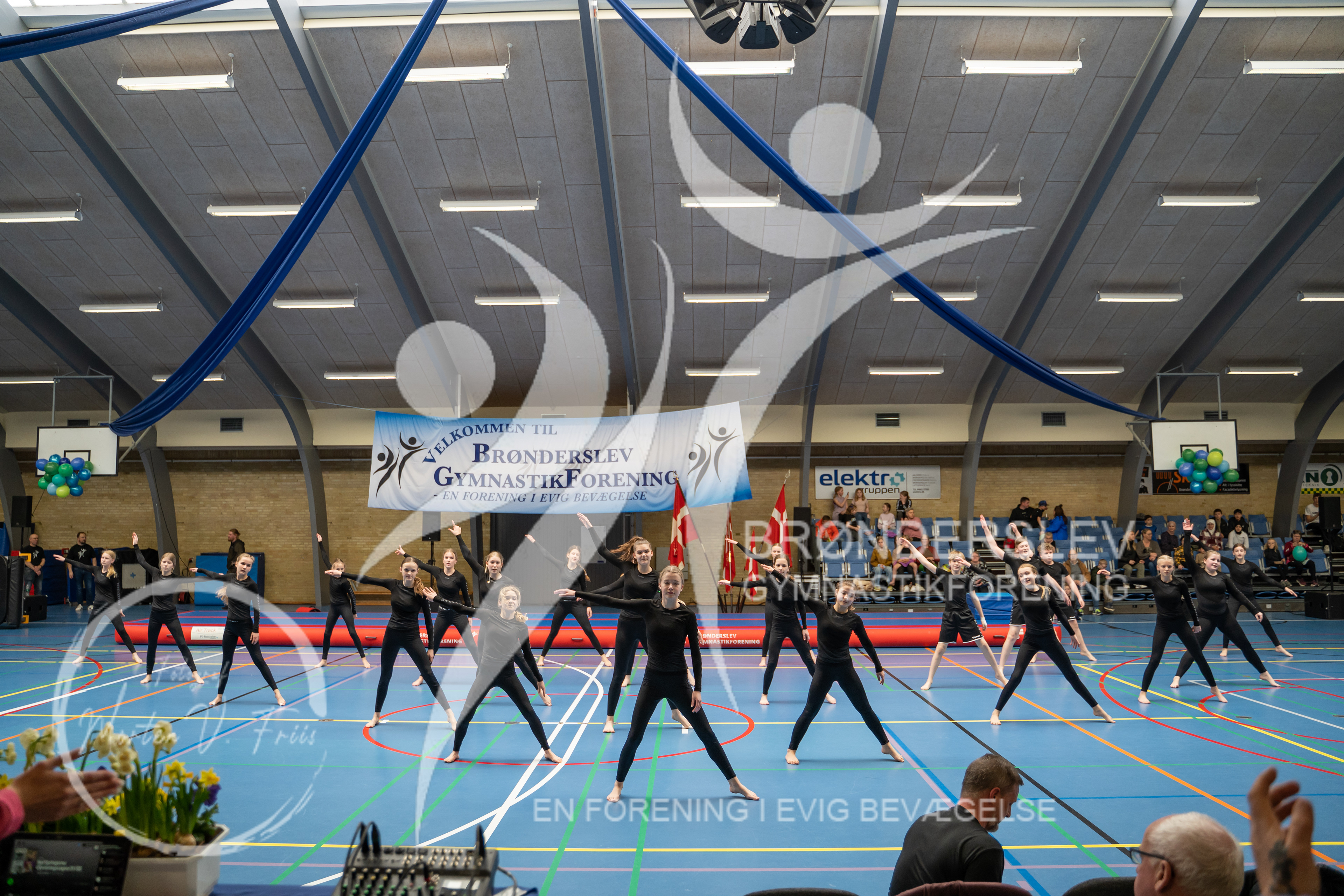 BGF 2022-1106