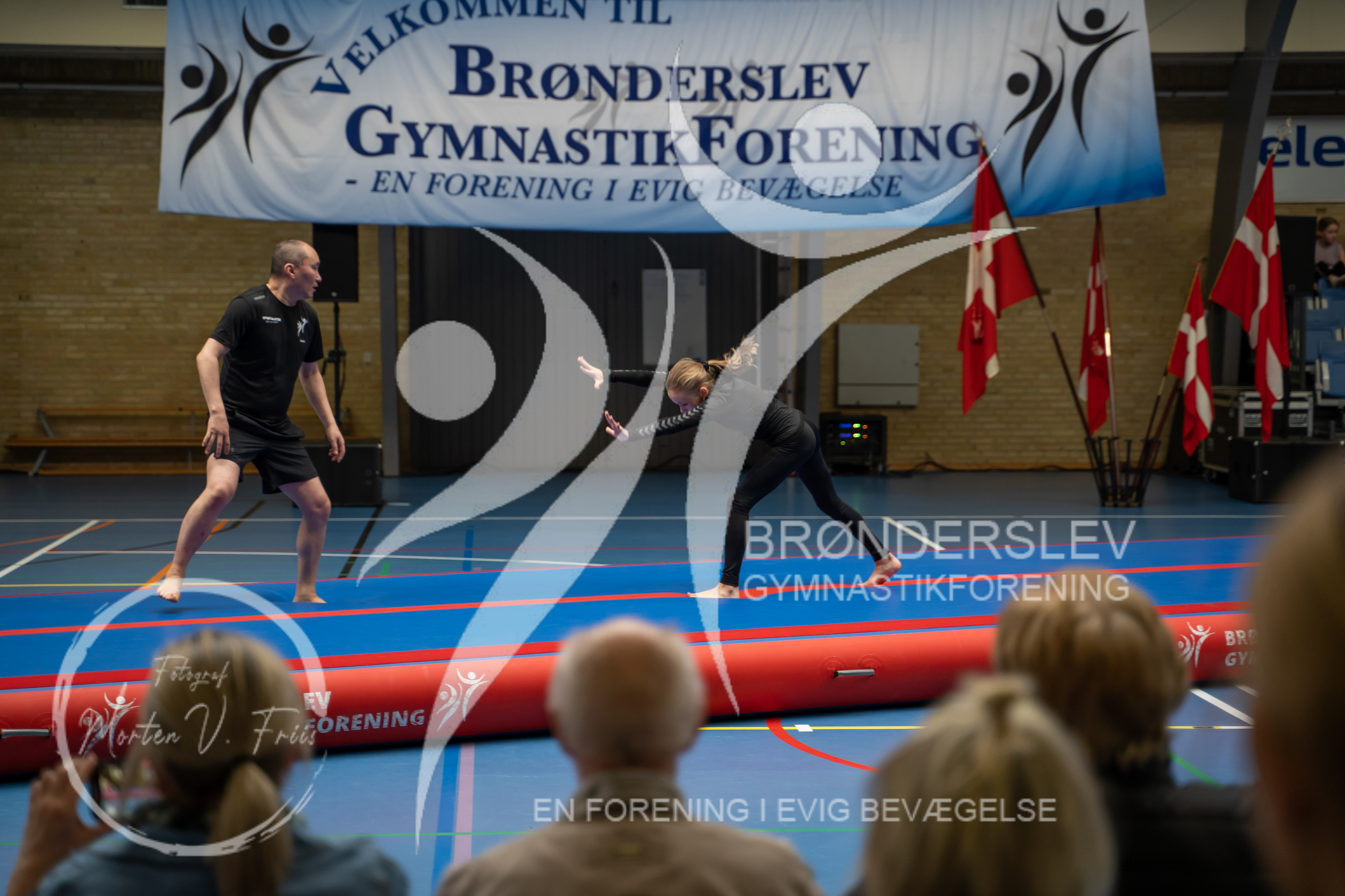 BGF 2022-1255