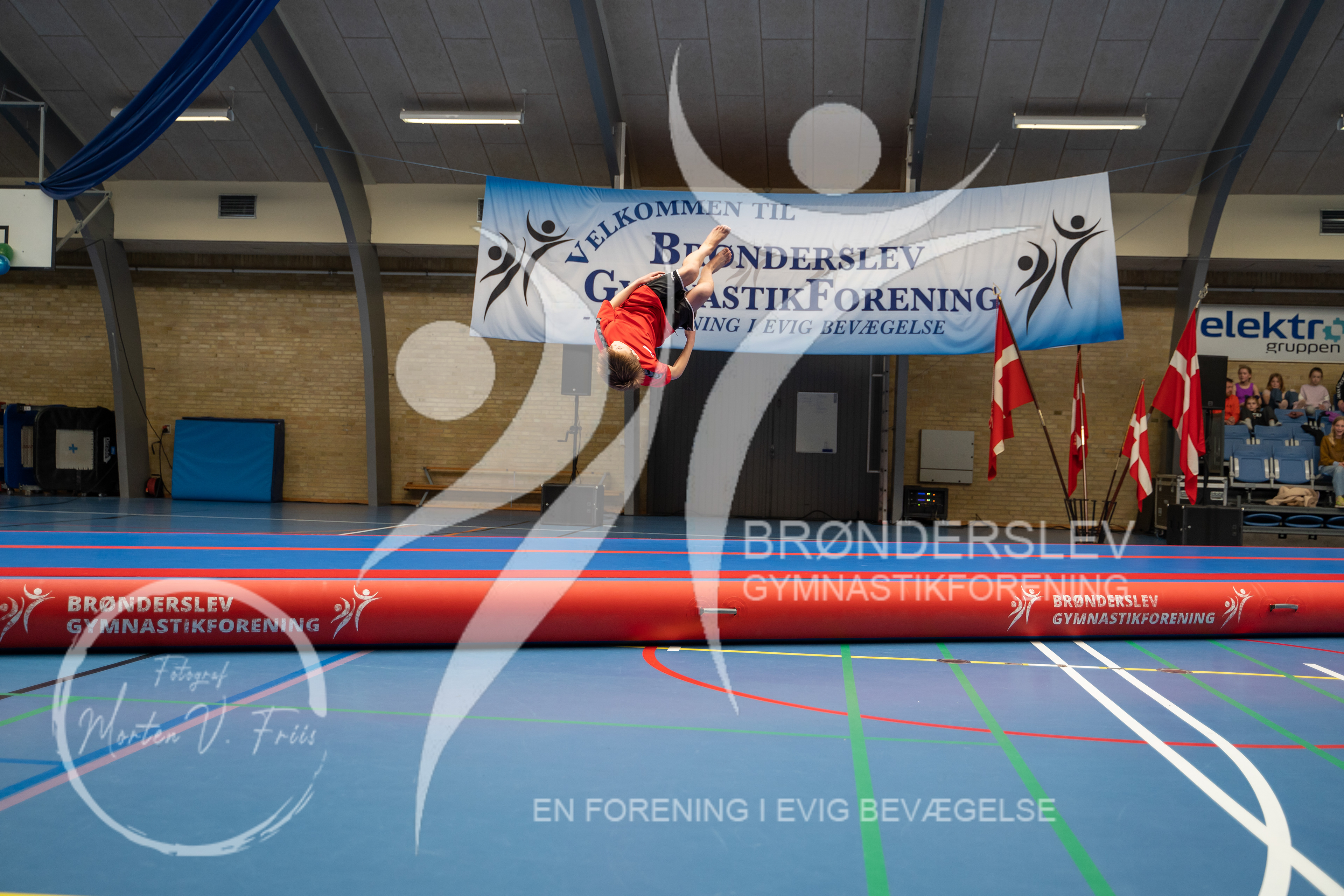 BGF 2022-1077