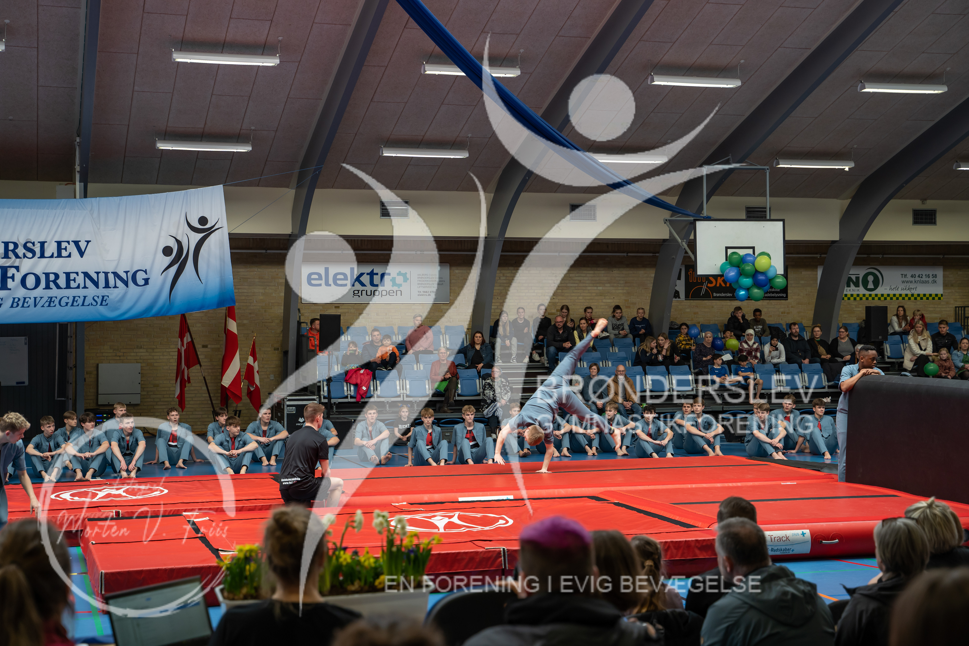BGF 2022-1388