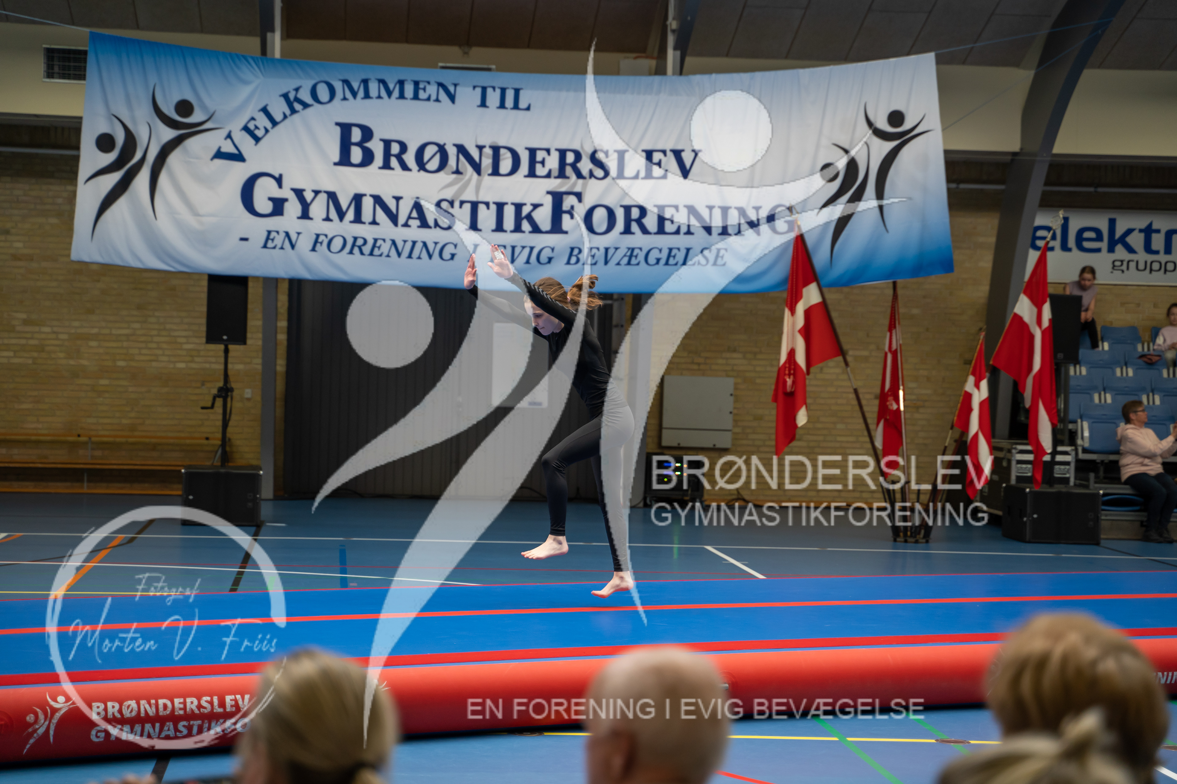 BGF 2022-1188