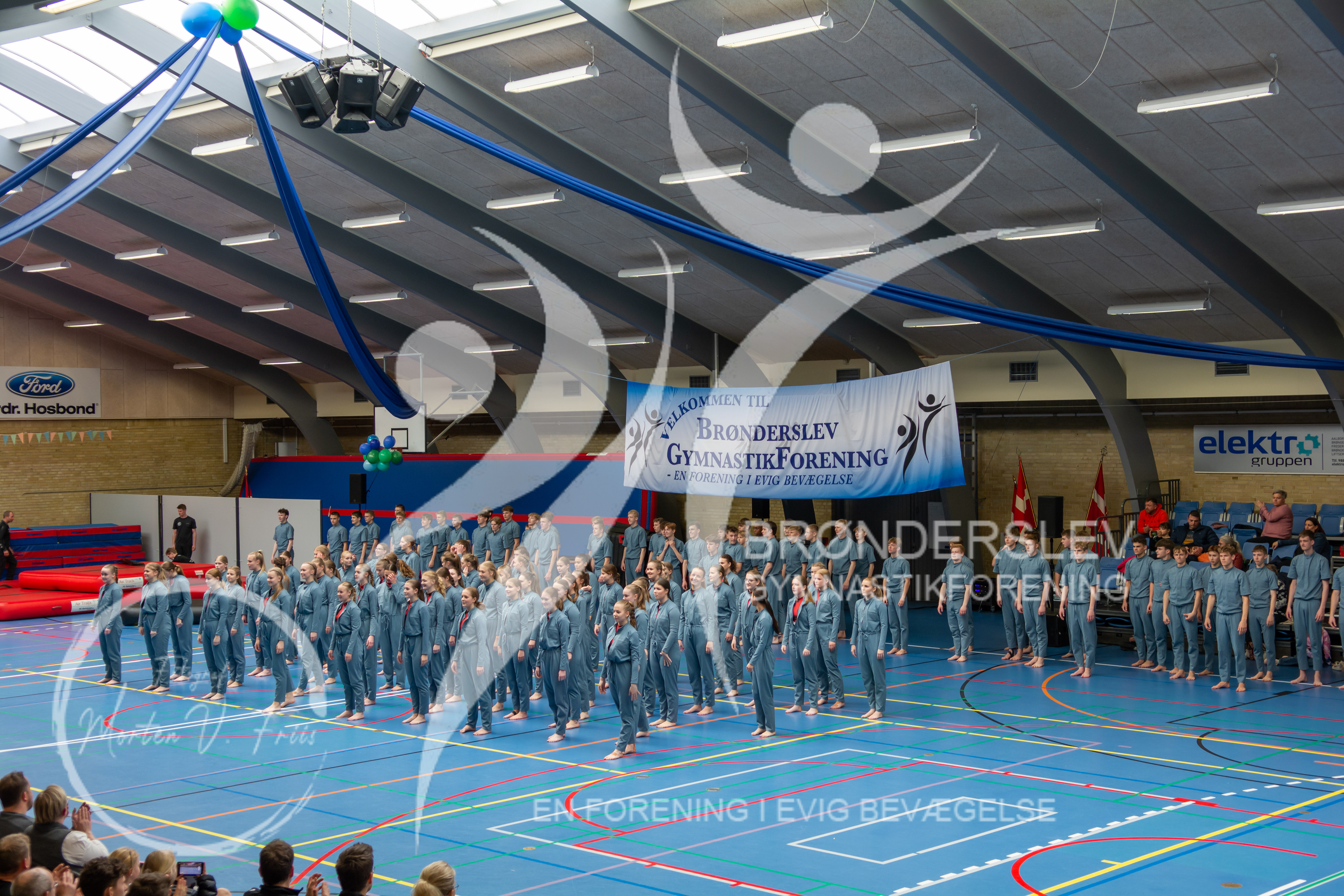 BGF 2022-1367