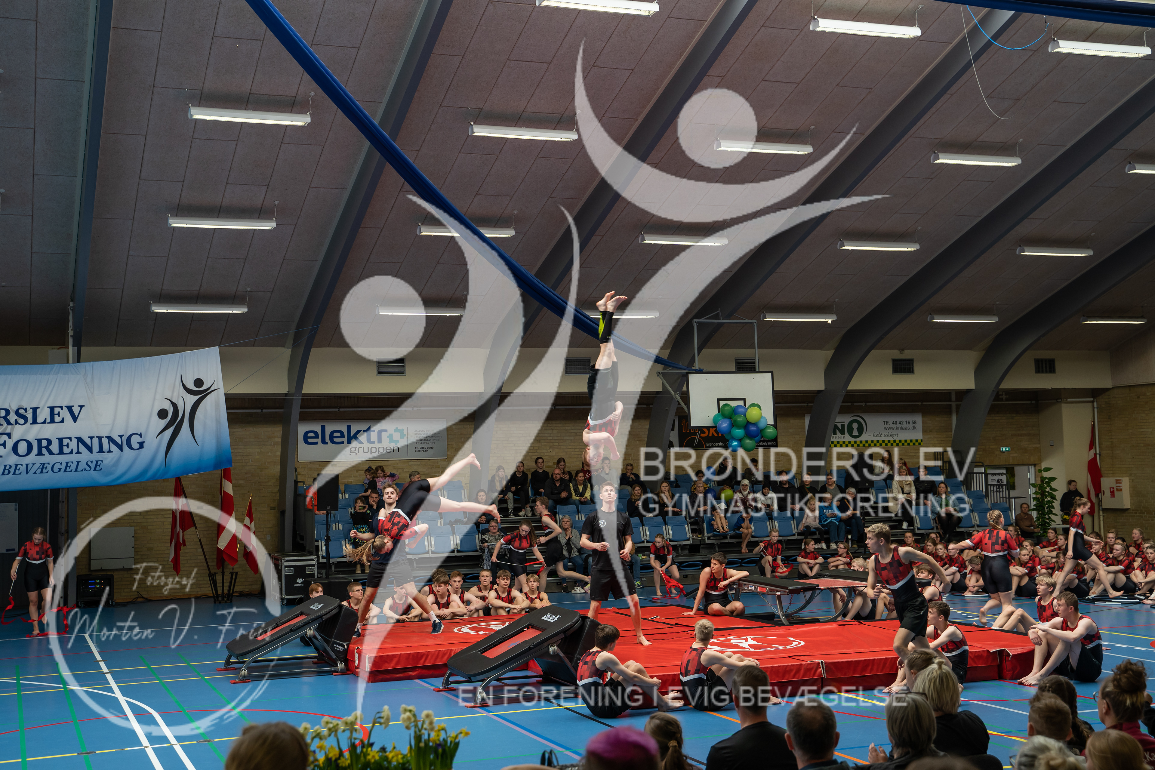 BGF 2022-1437