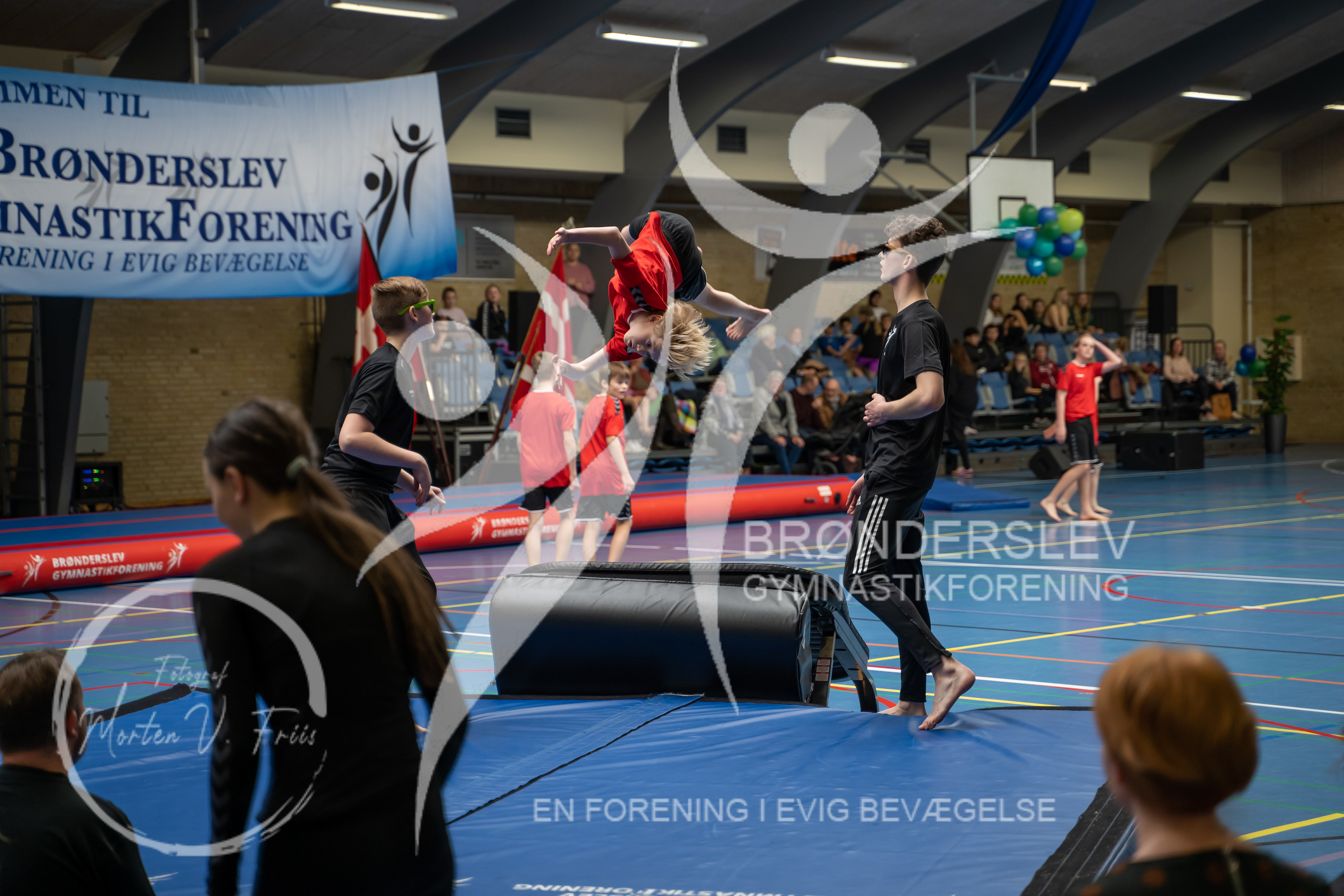 BGF 2022-1095