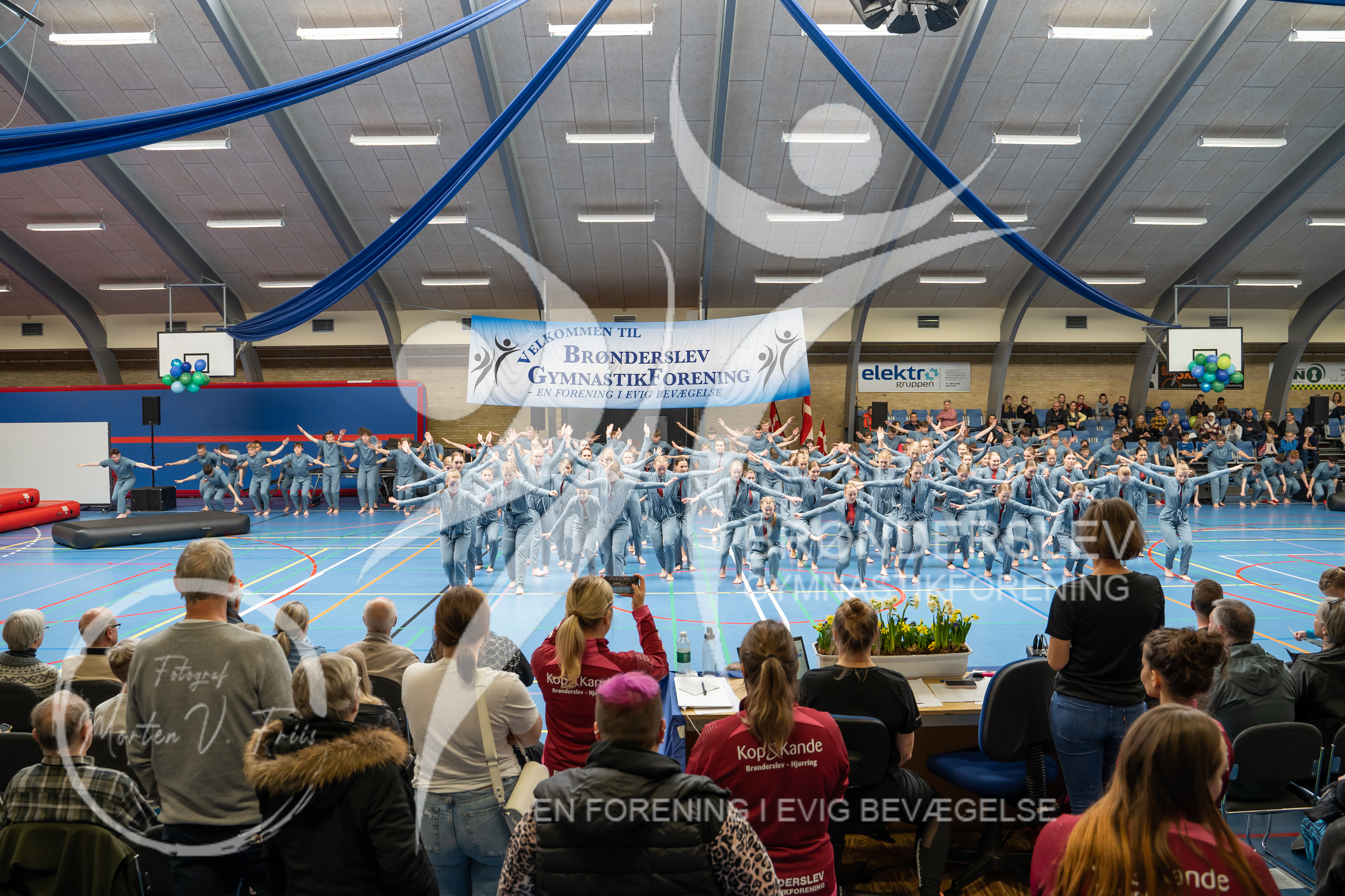 BGF 2022-1366