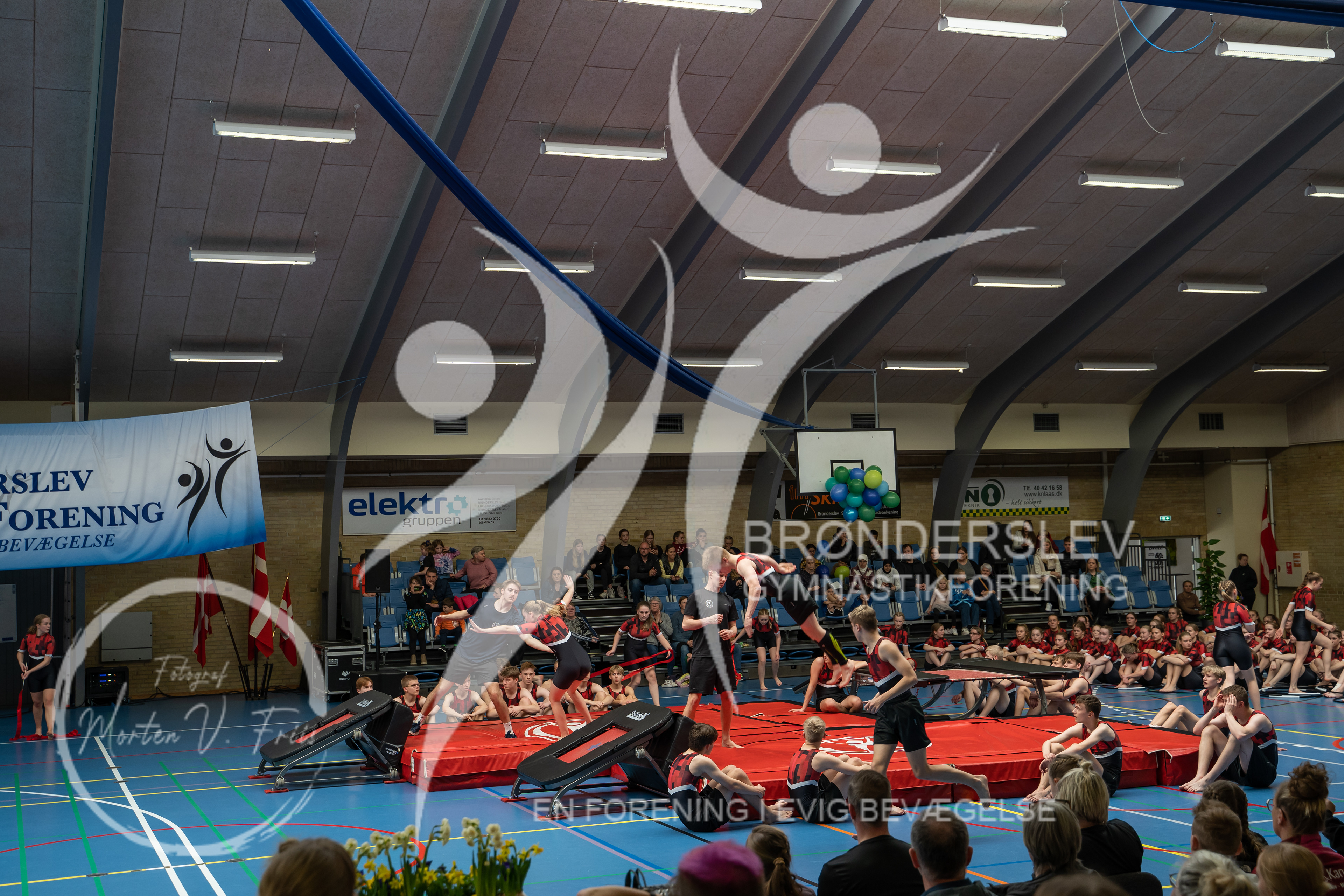 BGF 2022-1438