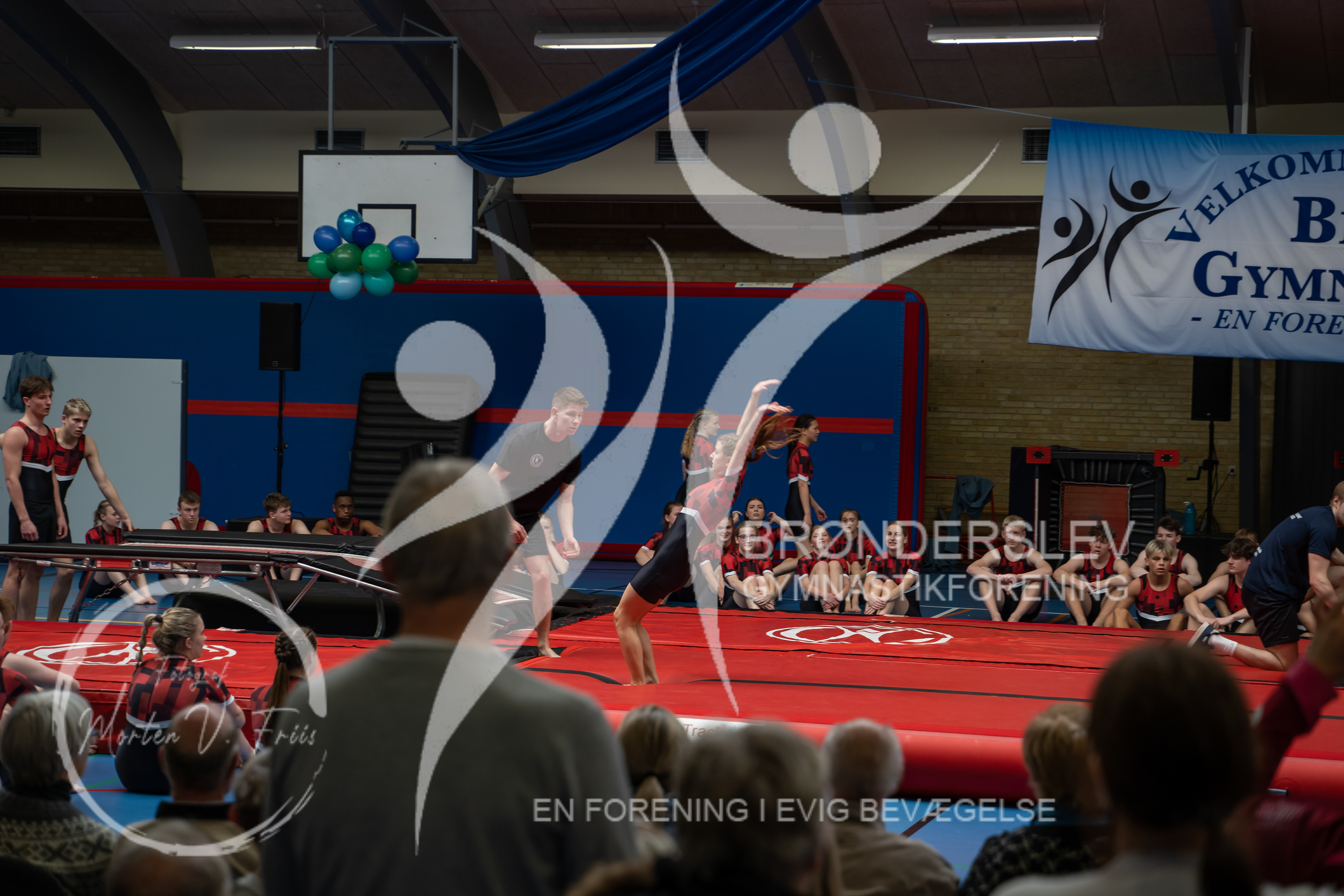 BGF 2022-1410