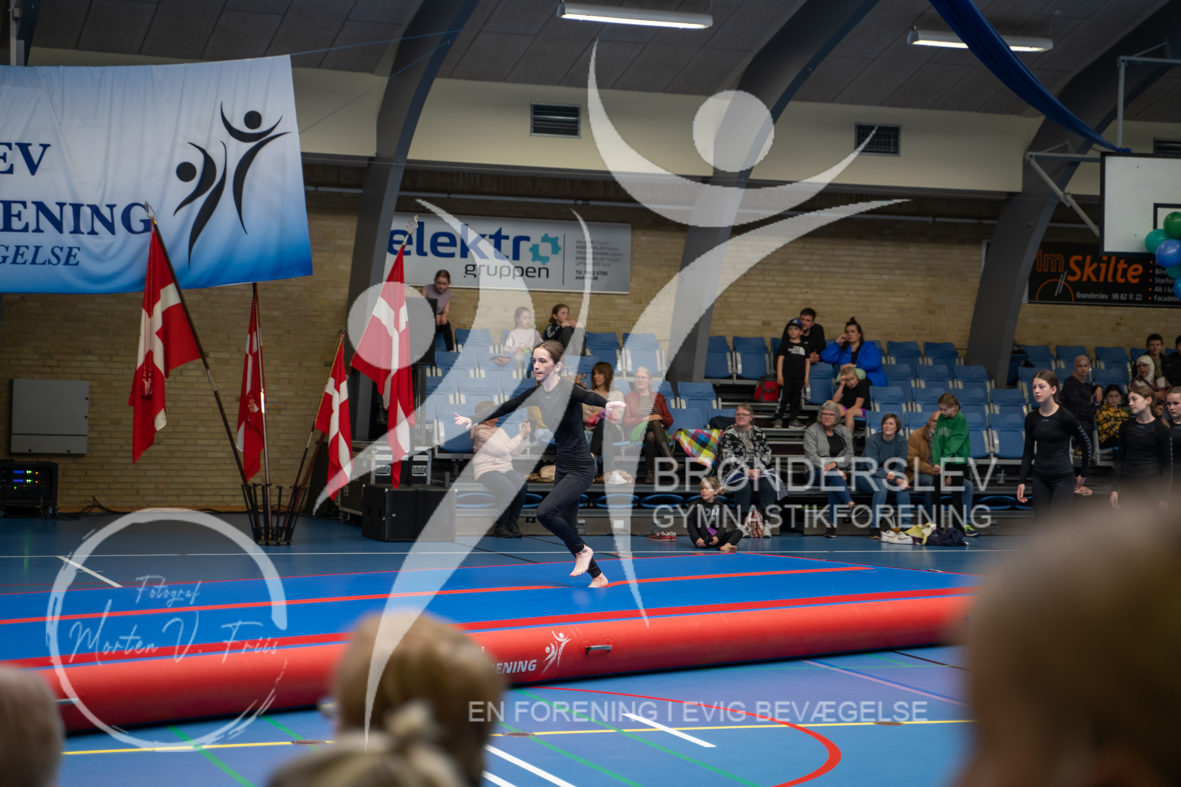 BGF 2022-1187