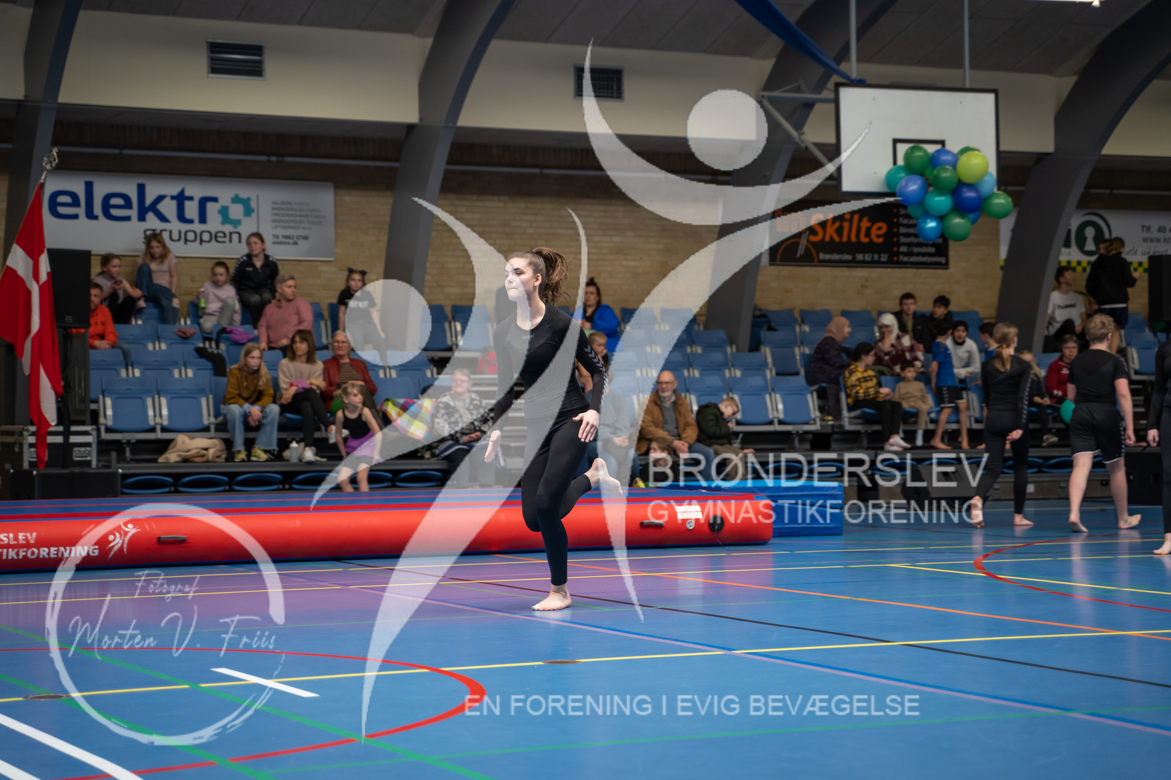 BGF 2022-1116