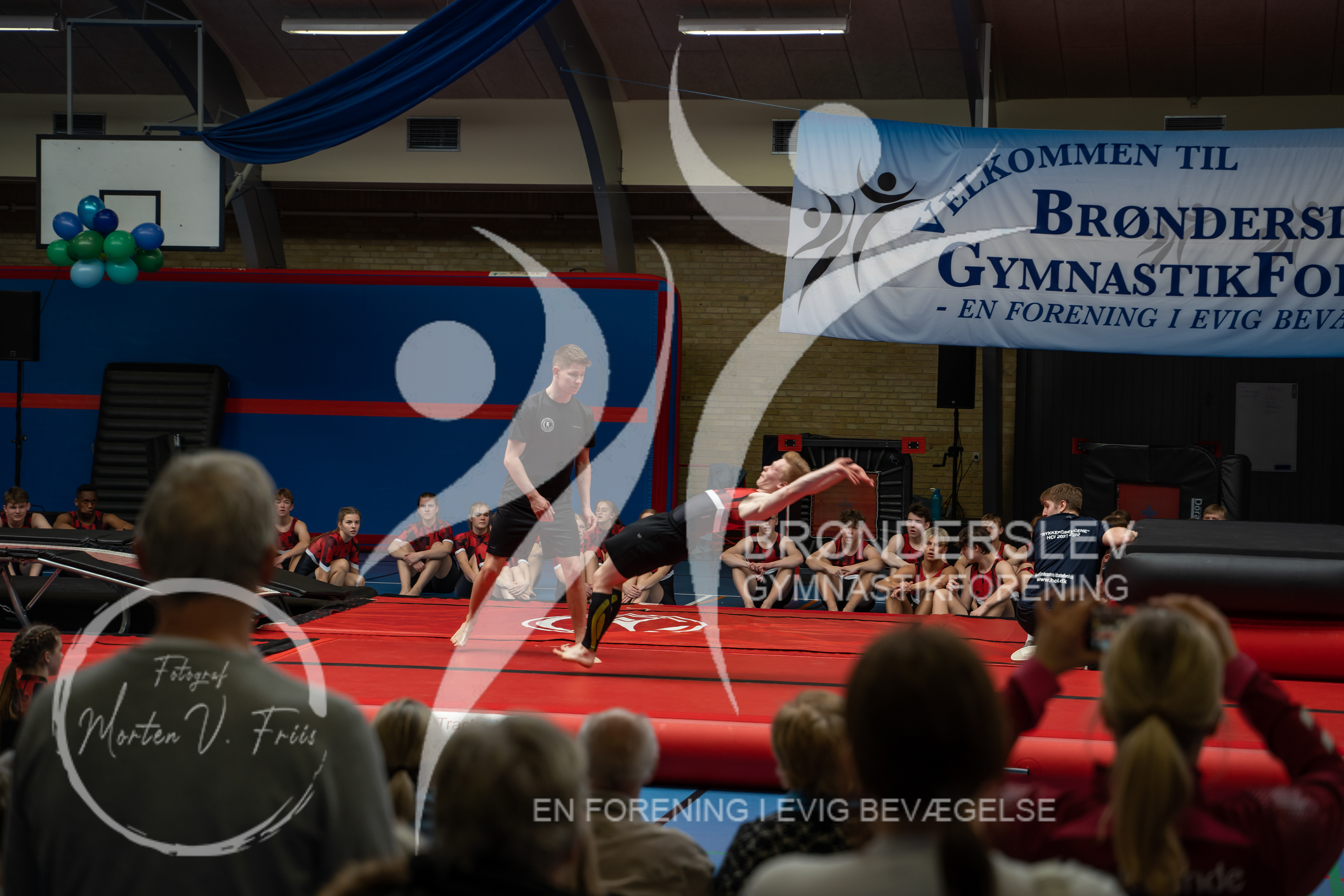 BGF 2022-1412