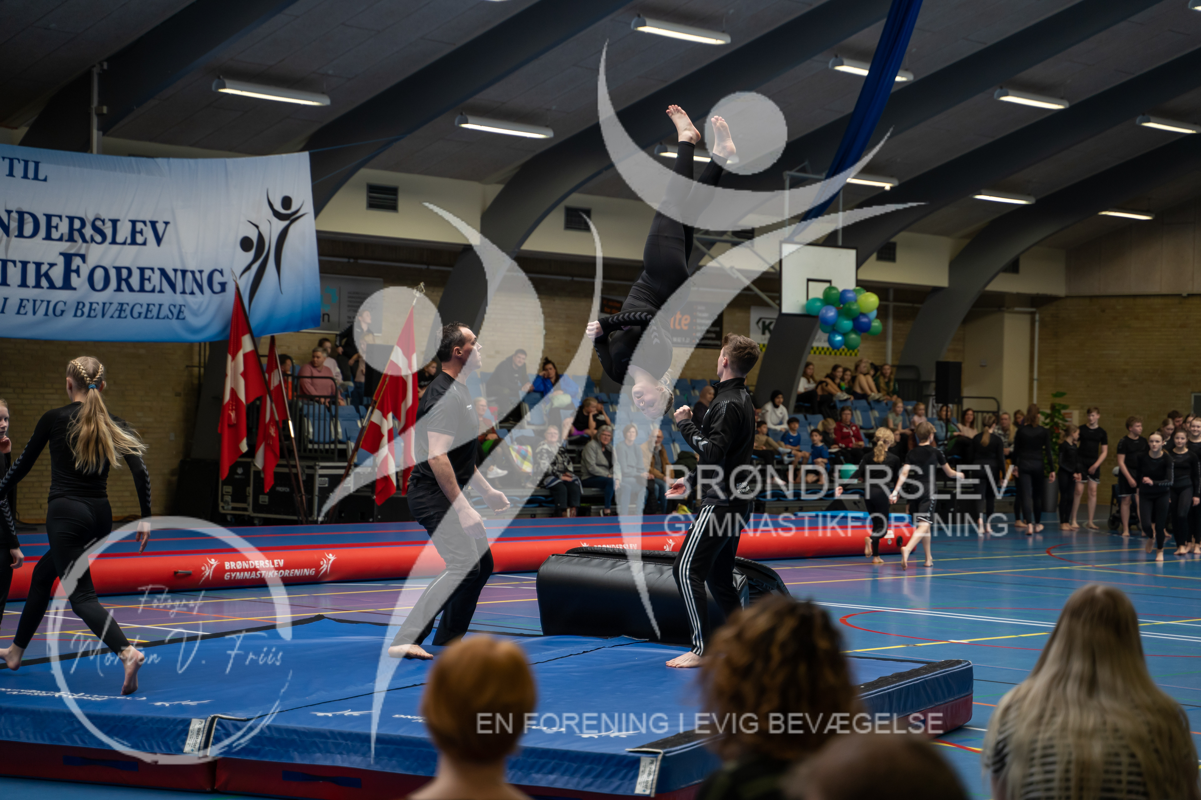 BGF 2022-1161