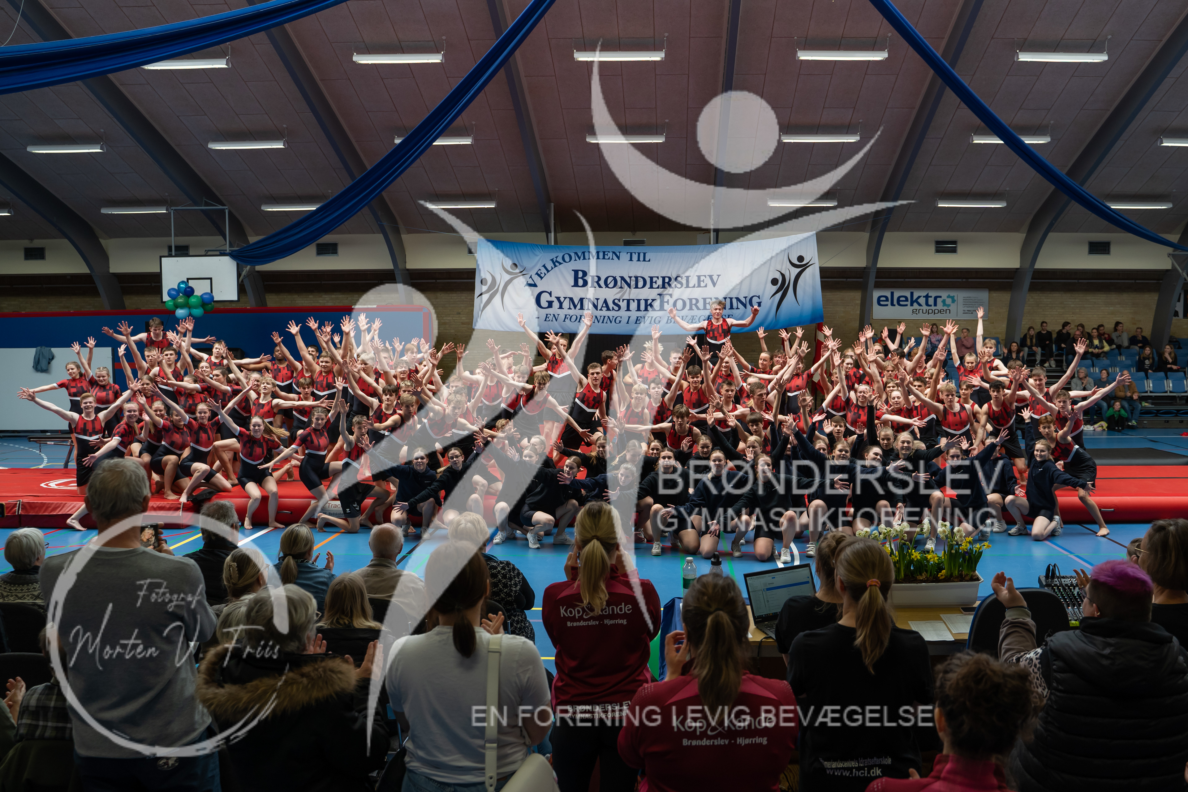 BGF 2022-1428