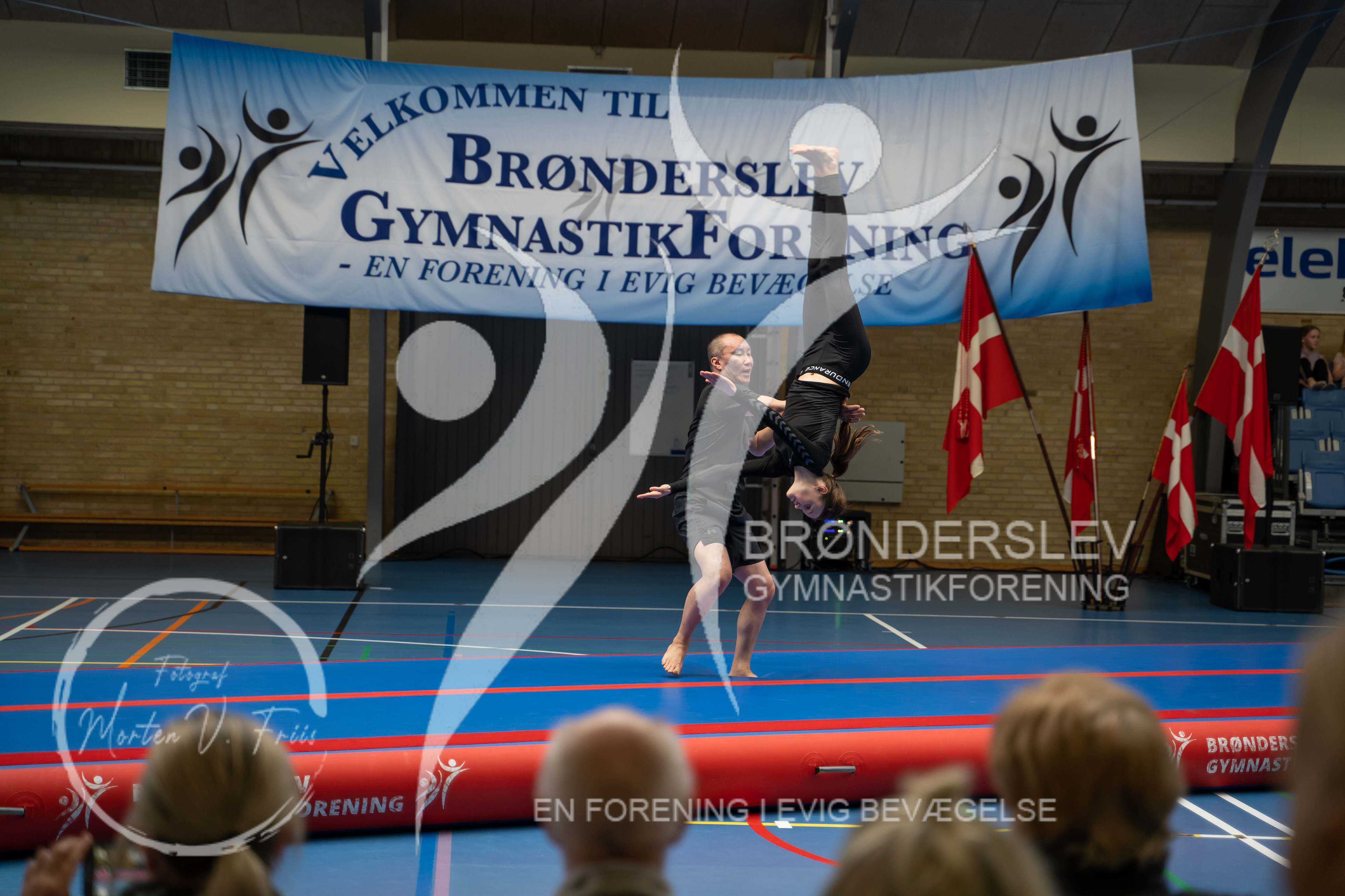BGF 2022-1259