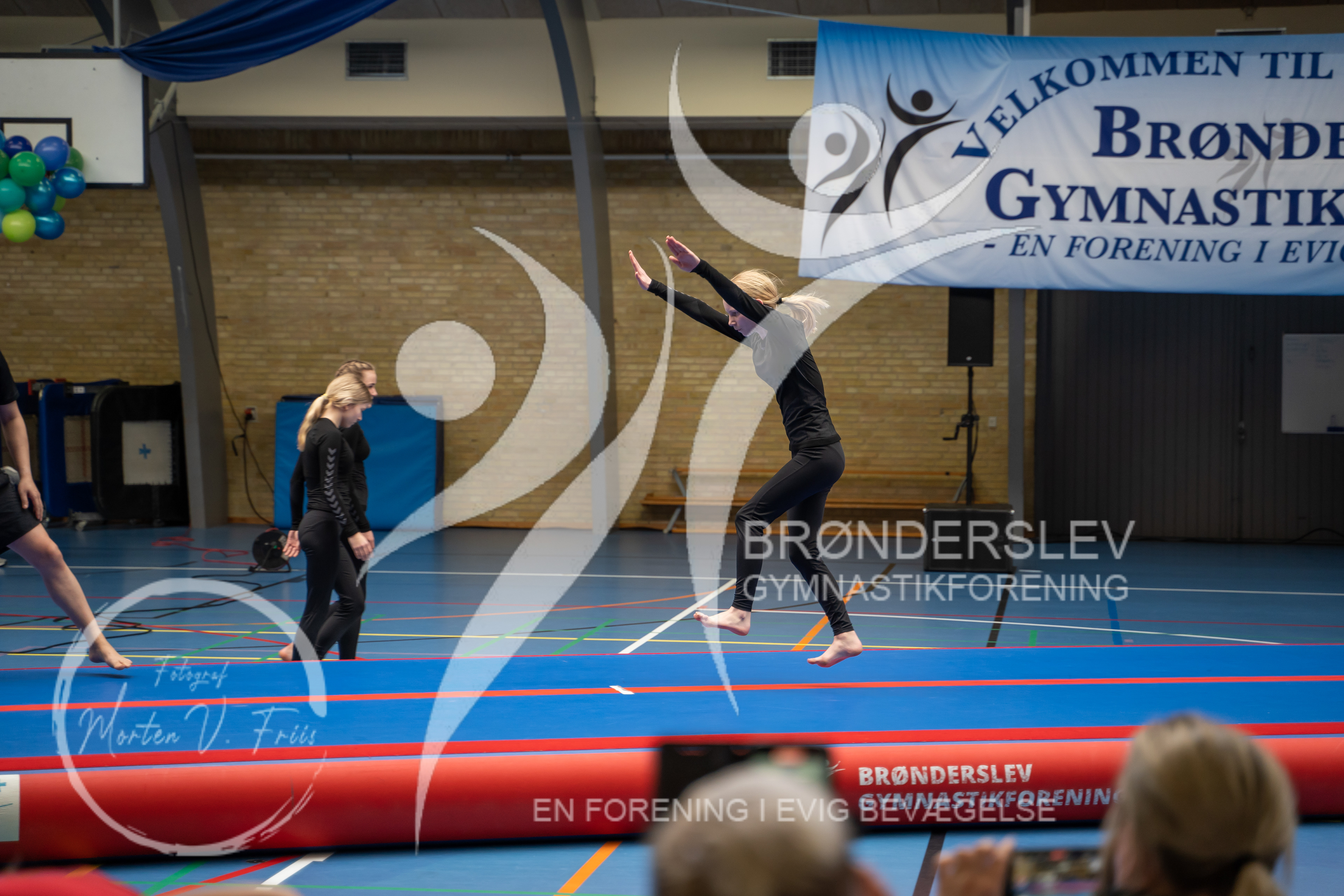 BGF 2022-1194