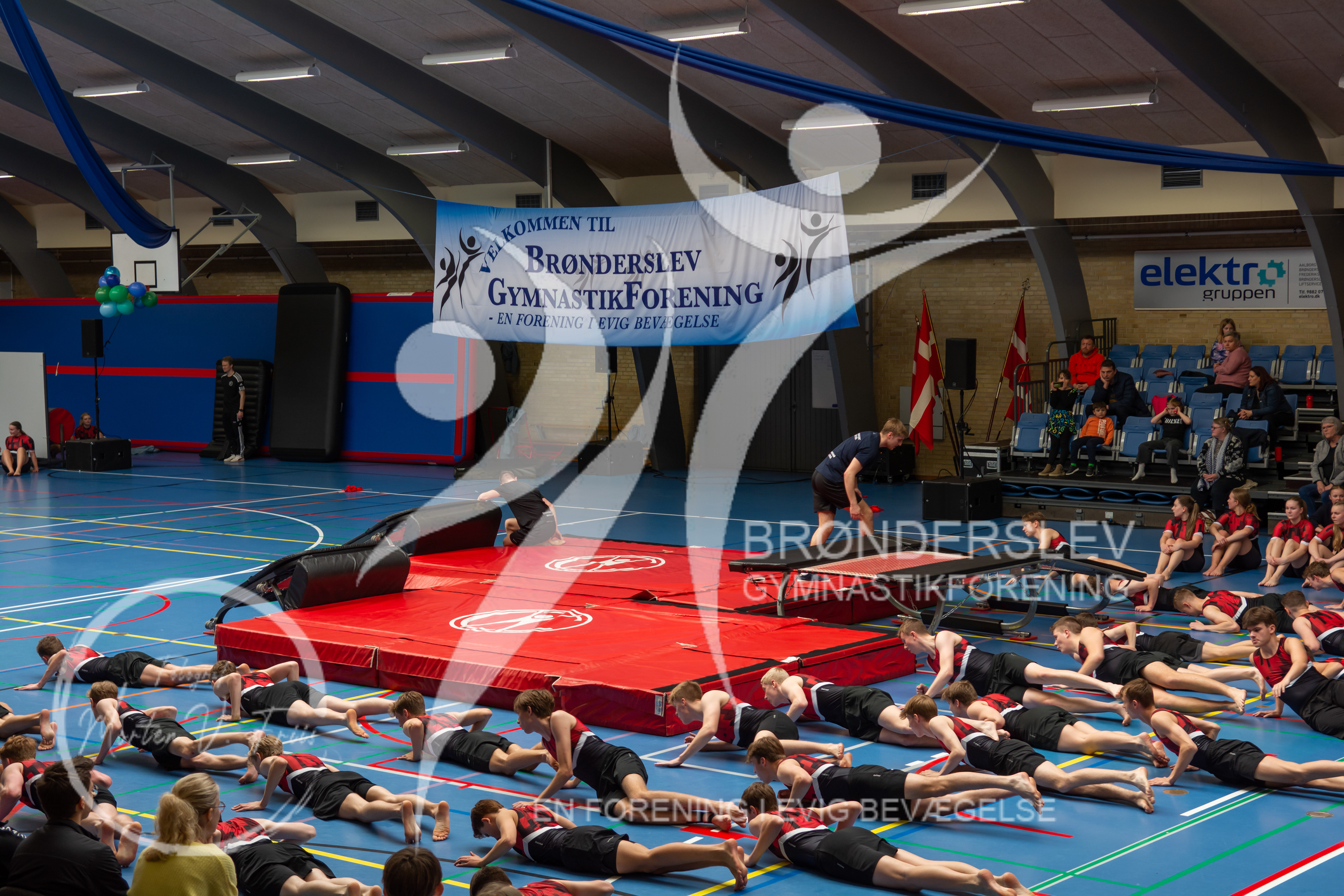 BGF 2022-1430