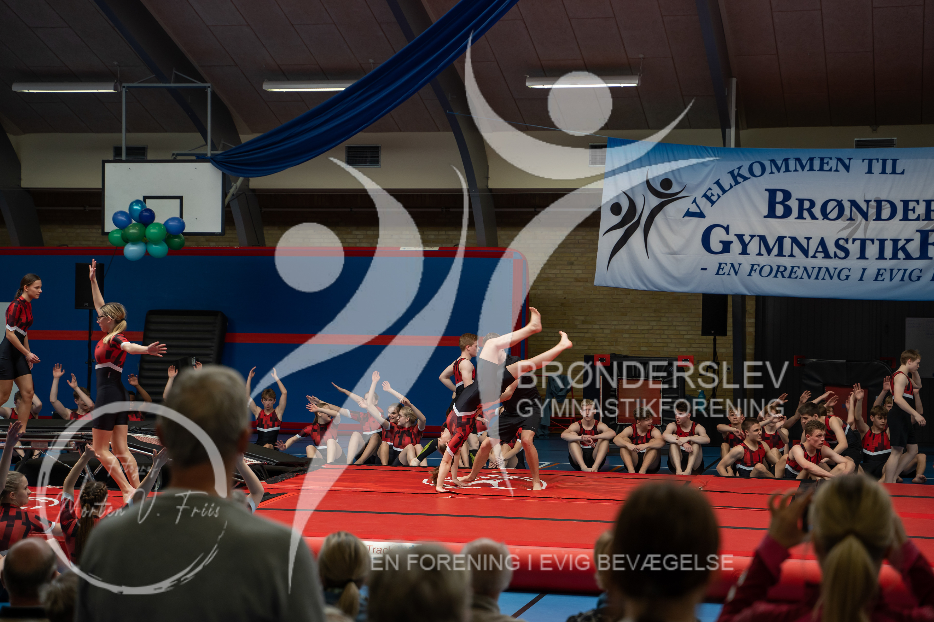 BGF 2022-1409