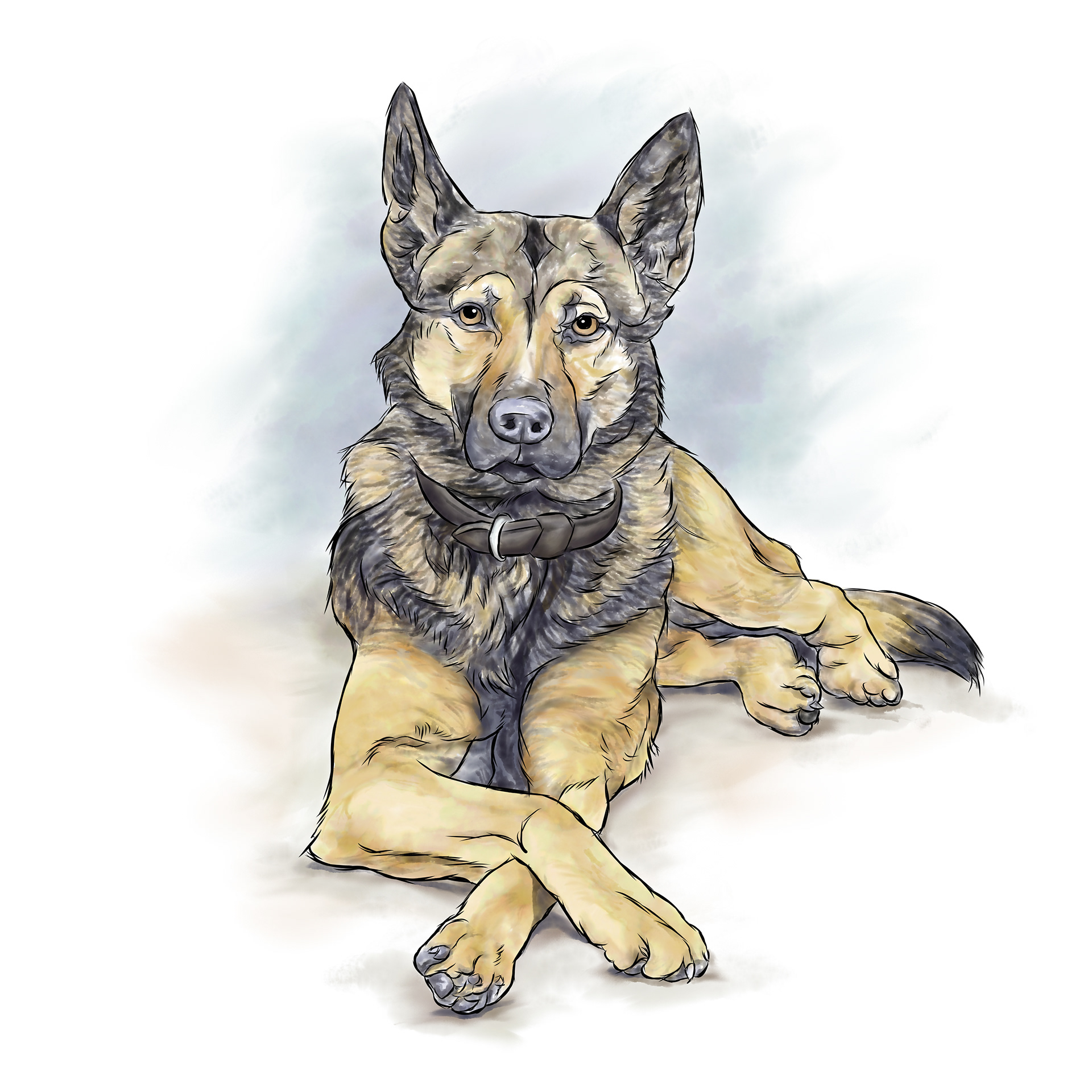 Watercolor of German Shepard by Joan Zander Millard, ZeeeArts