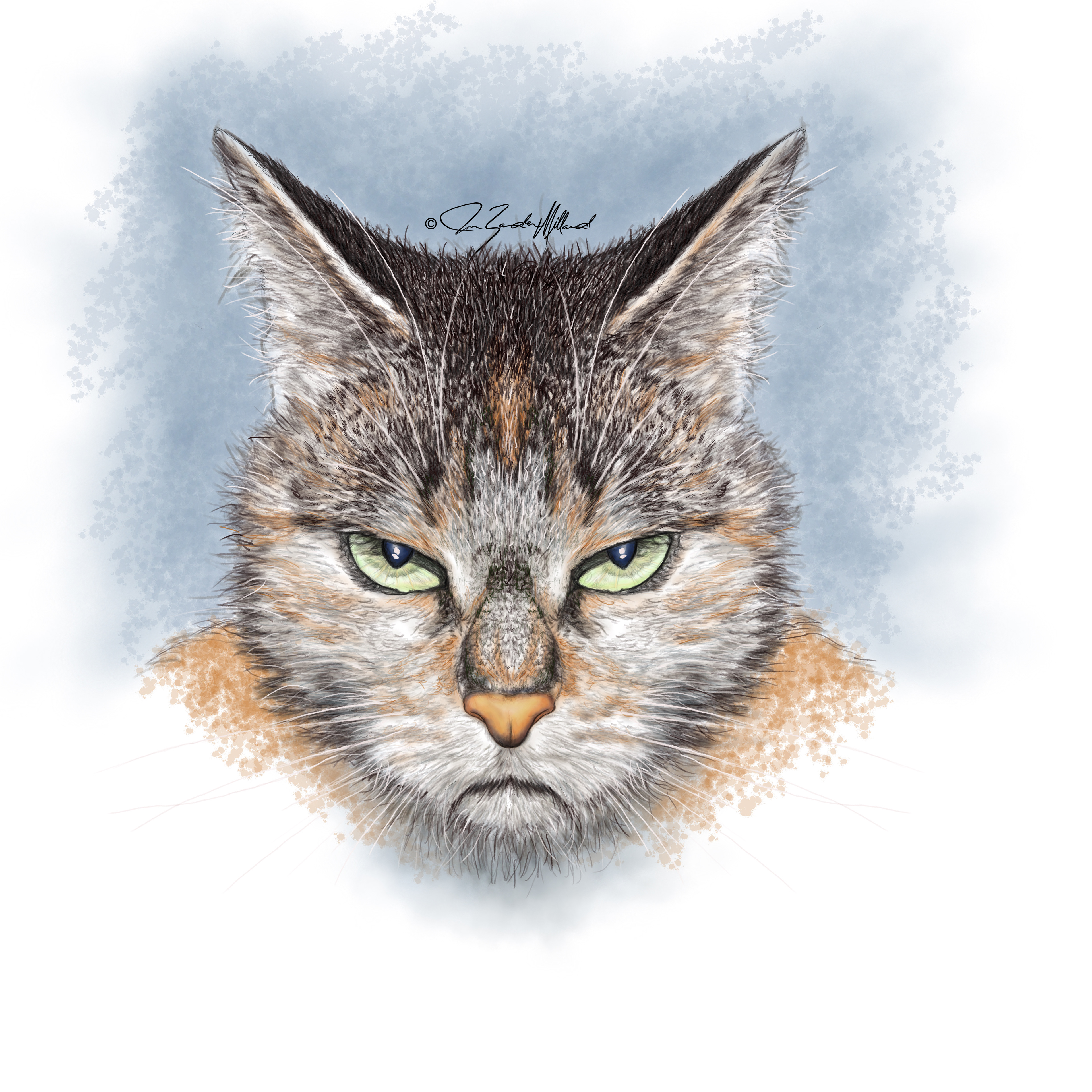 Angry Cat by Joan Zander Millard, ZeeeArts