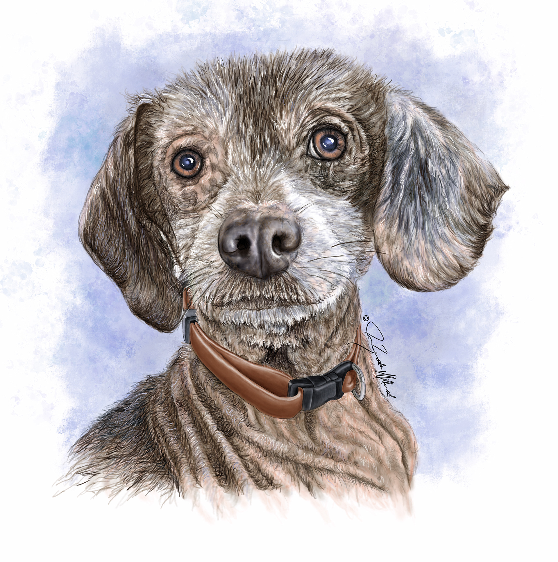 Pet portrait by Joan Zander Millard, ZeeeArts