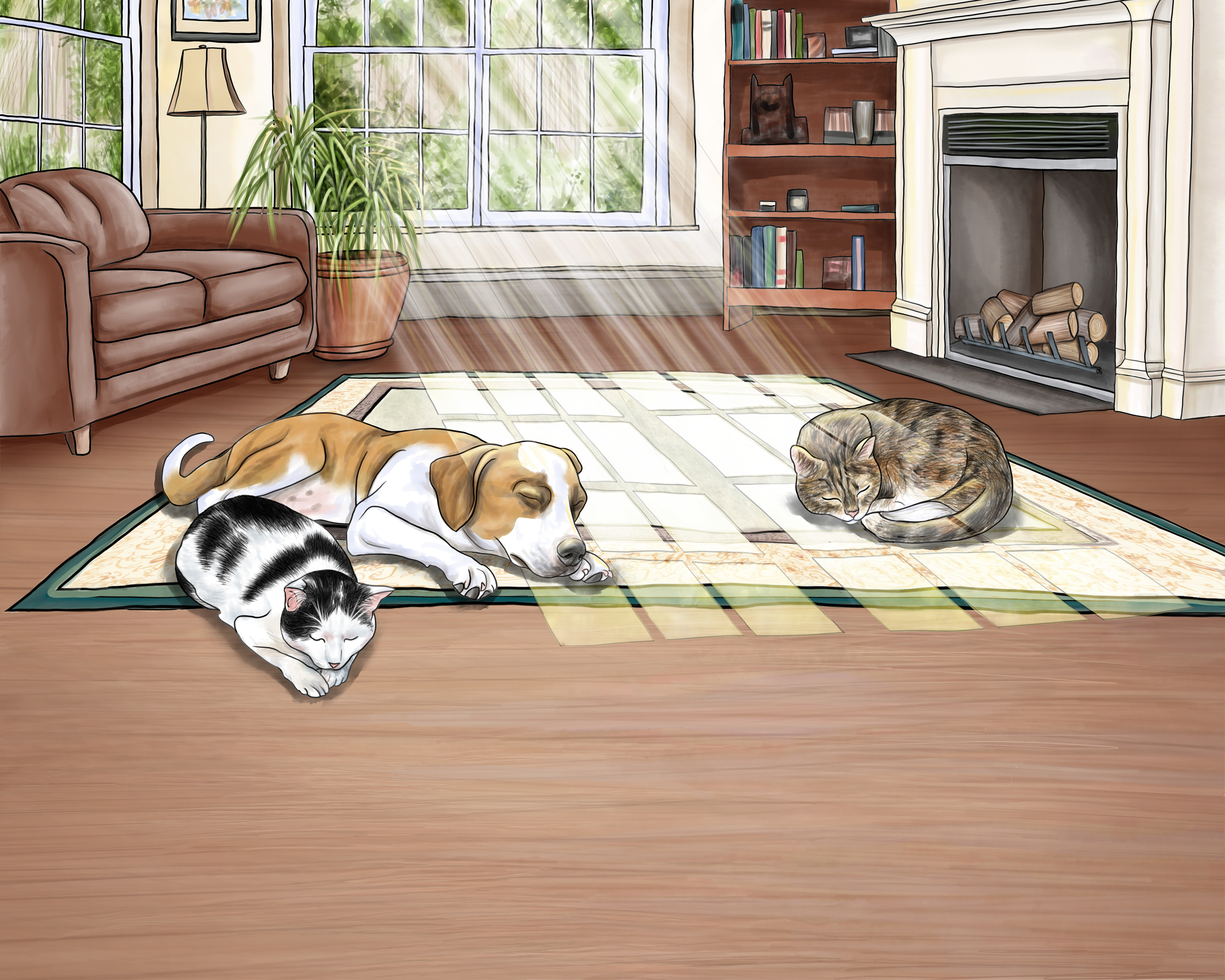 Winter, Barnaby and Autumn enjoying afternoon sunshine