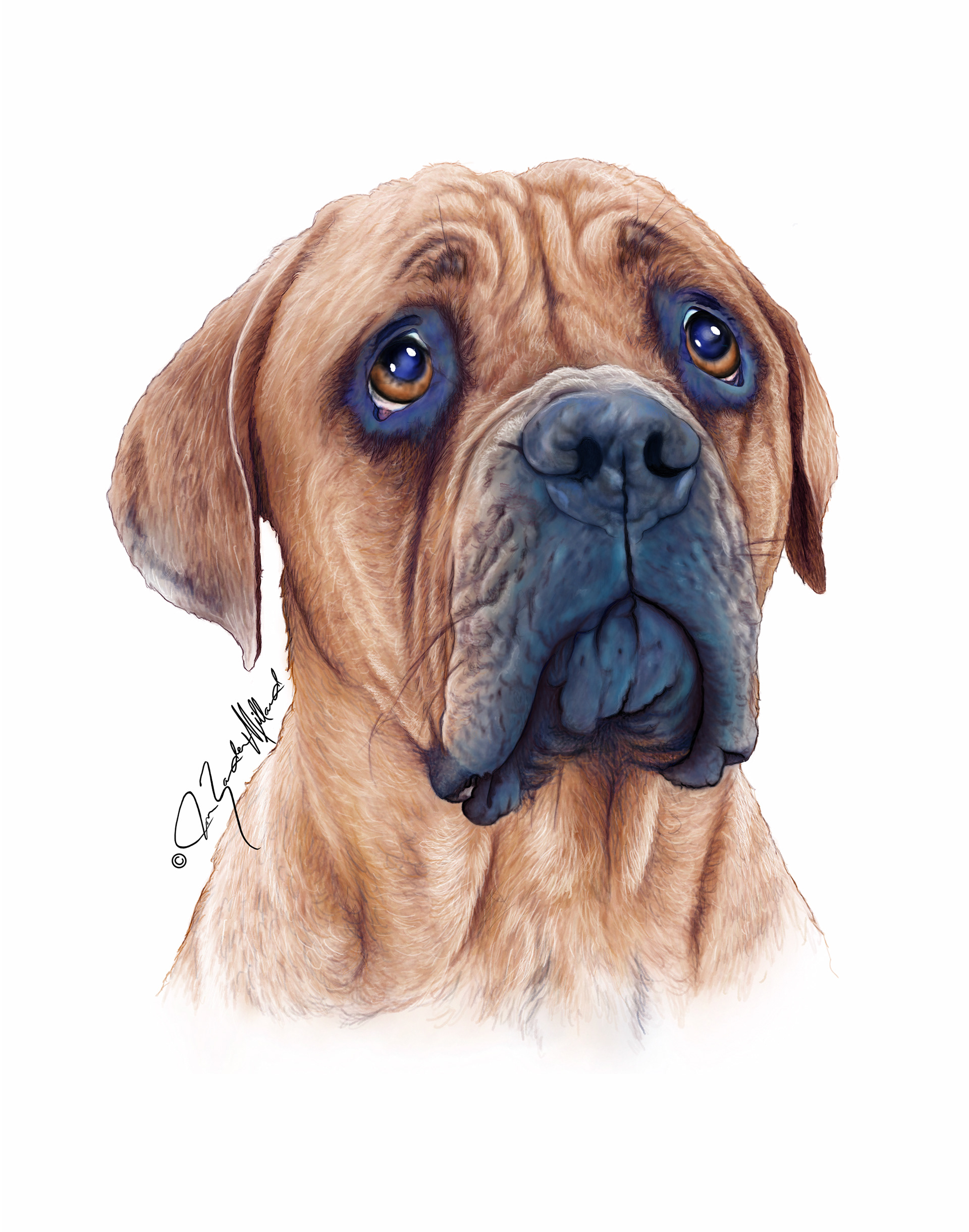Bloodhound Kobe portrait by Joan Zander Millard, ZeeeArts