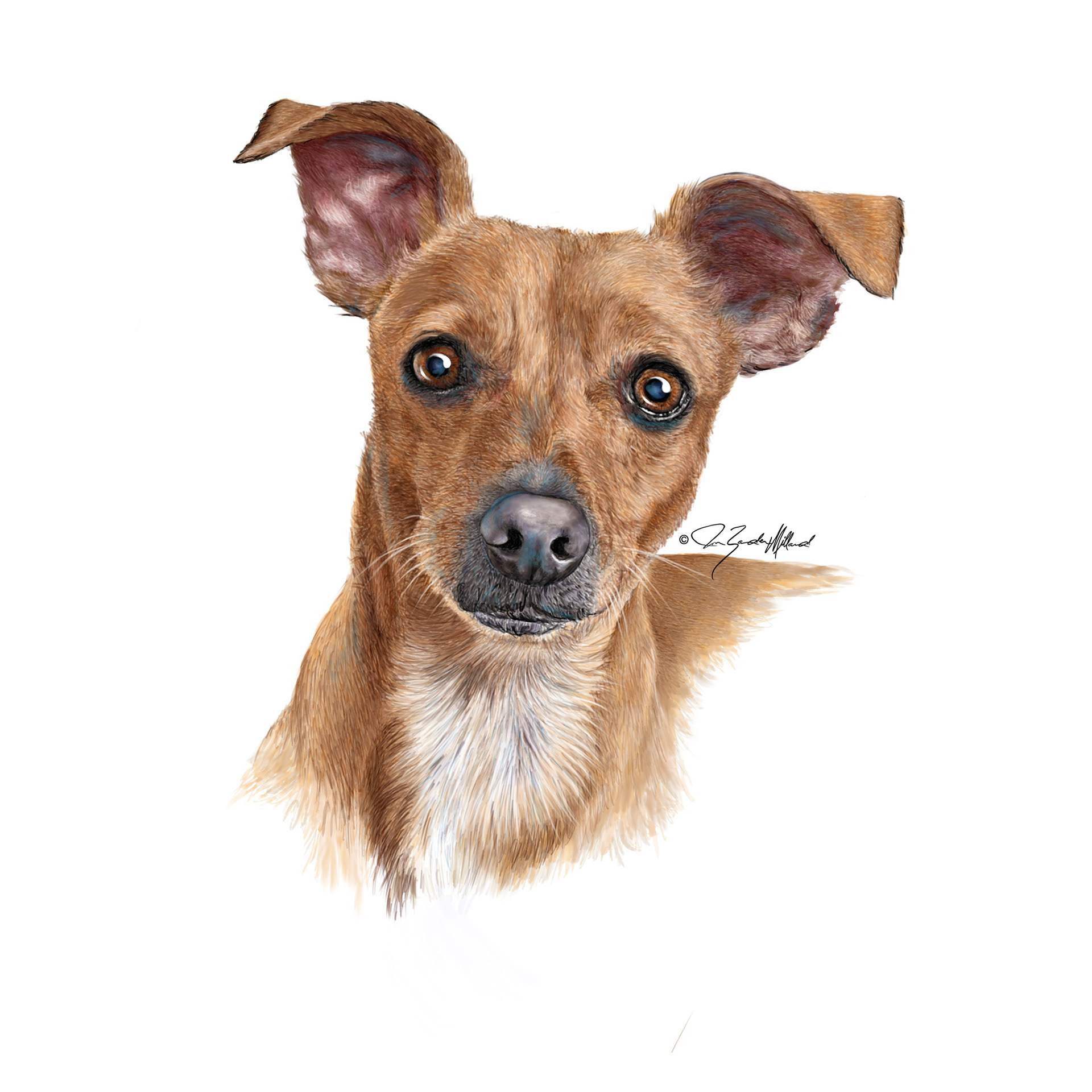 Dog portrait of Penny by Joan Zander Millard, ZeeeArts