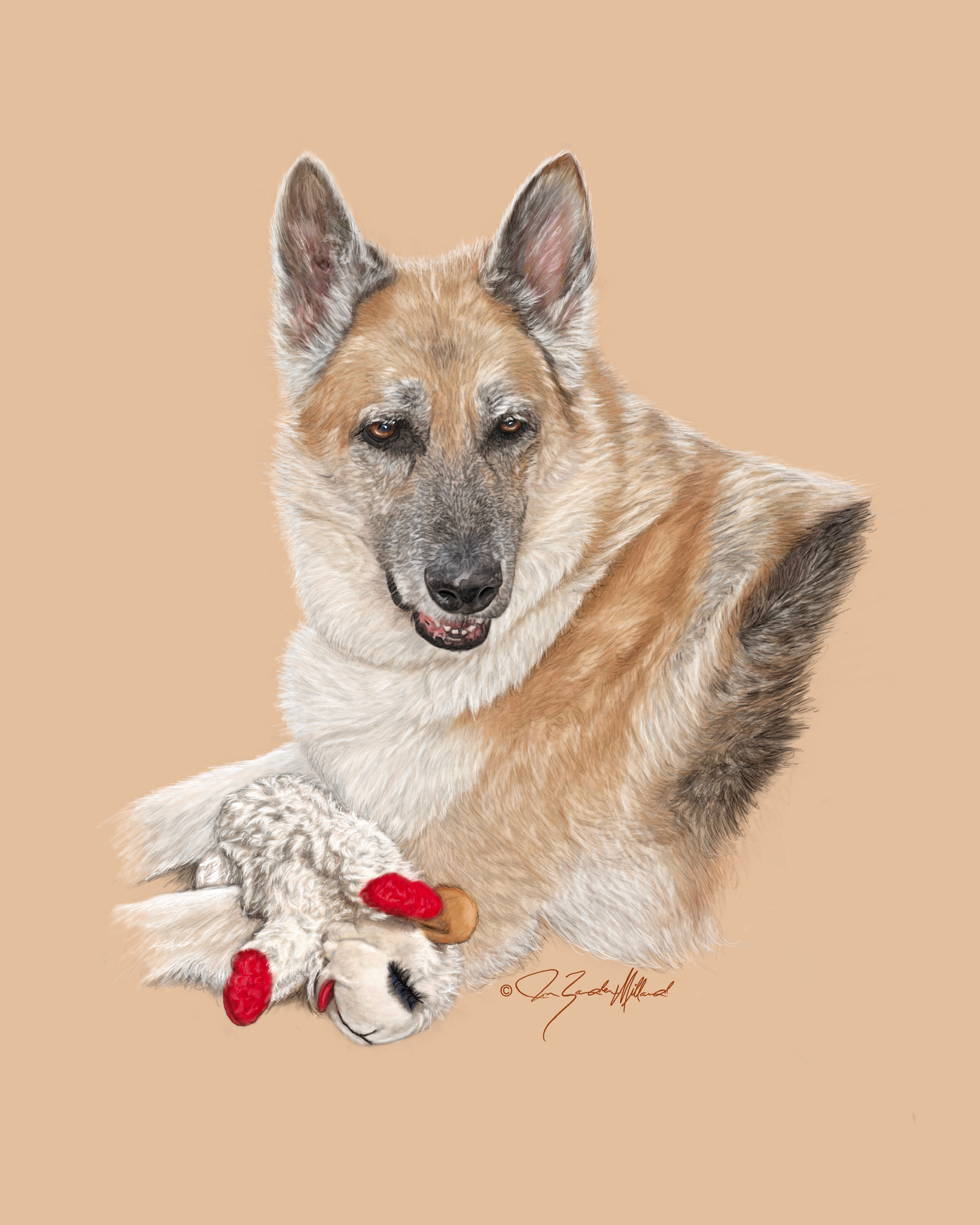 Pet portrait of Zeus by Joan Zander Millard, ZeeeArts