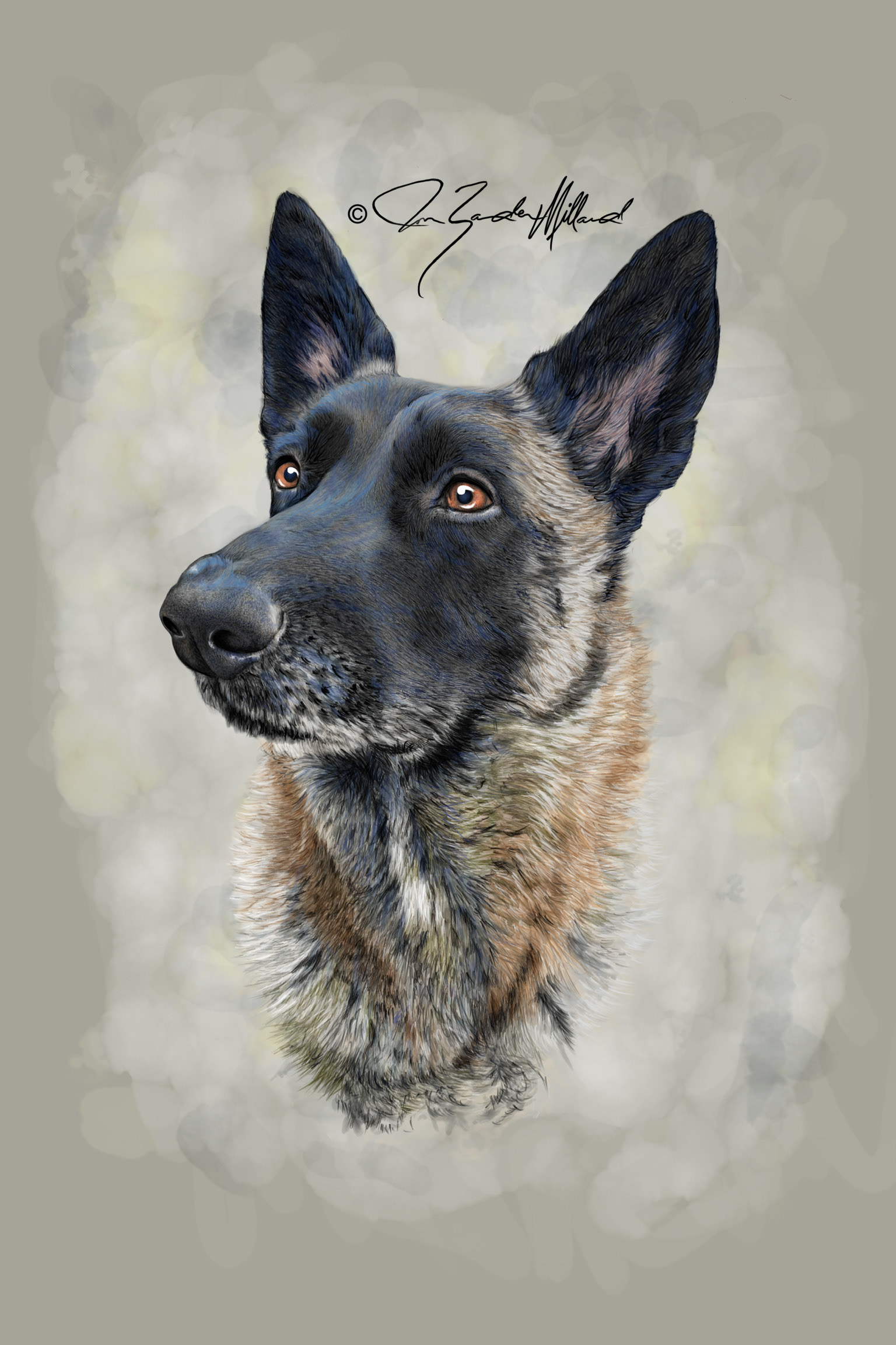 Pet portrait of Jax by Joan Zander Millard, ZeeeArts