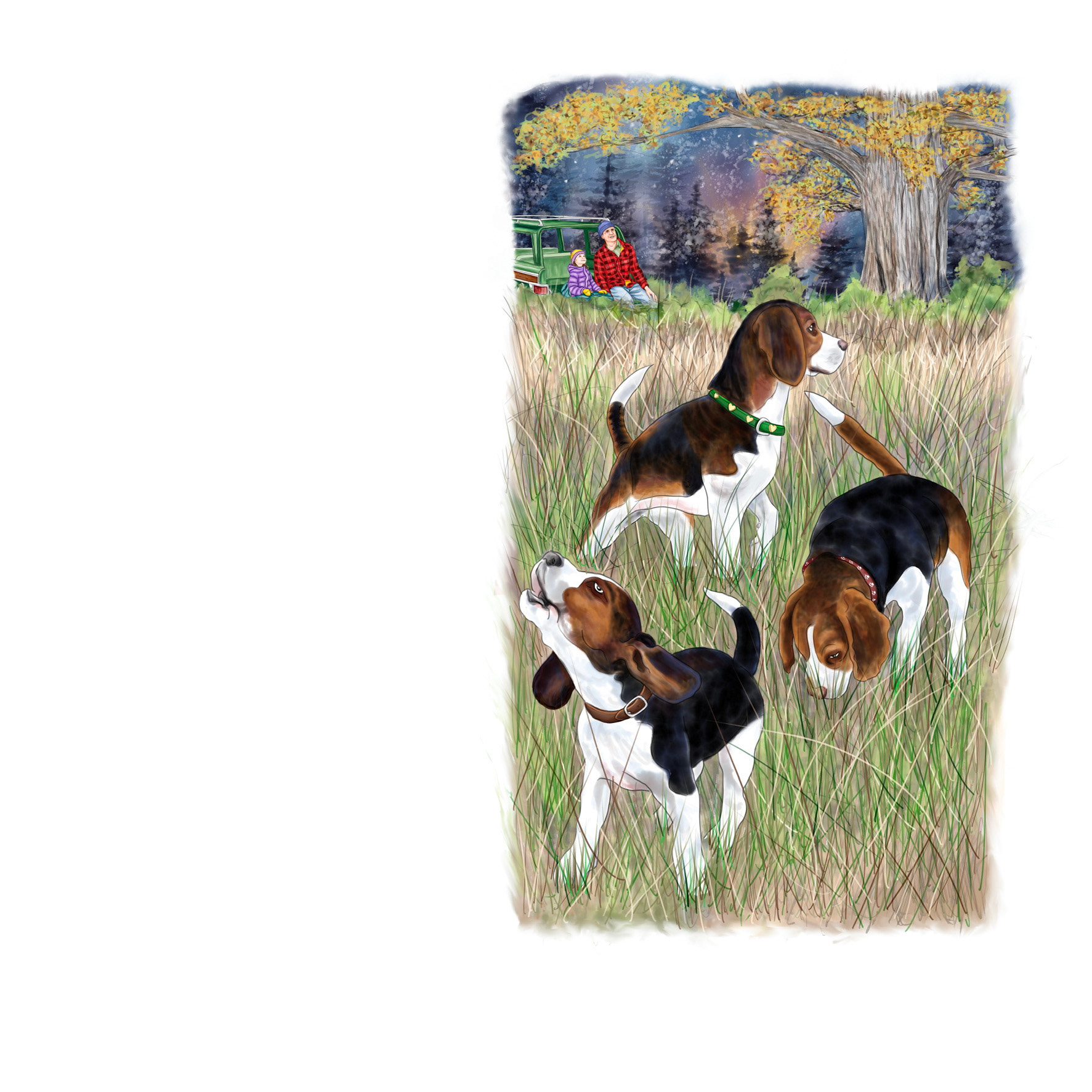 The beagle dogs hunting