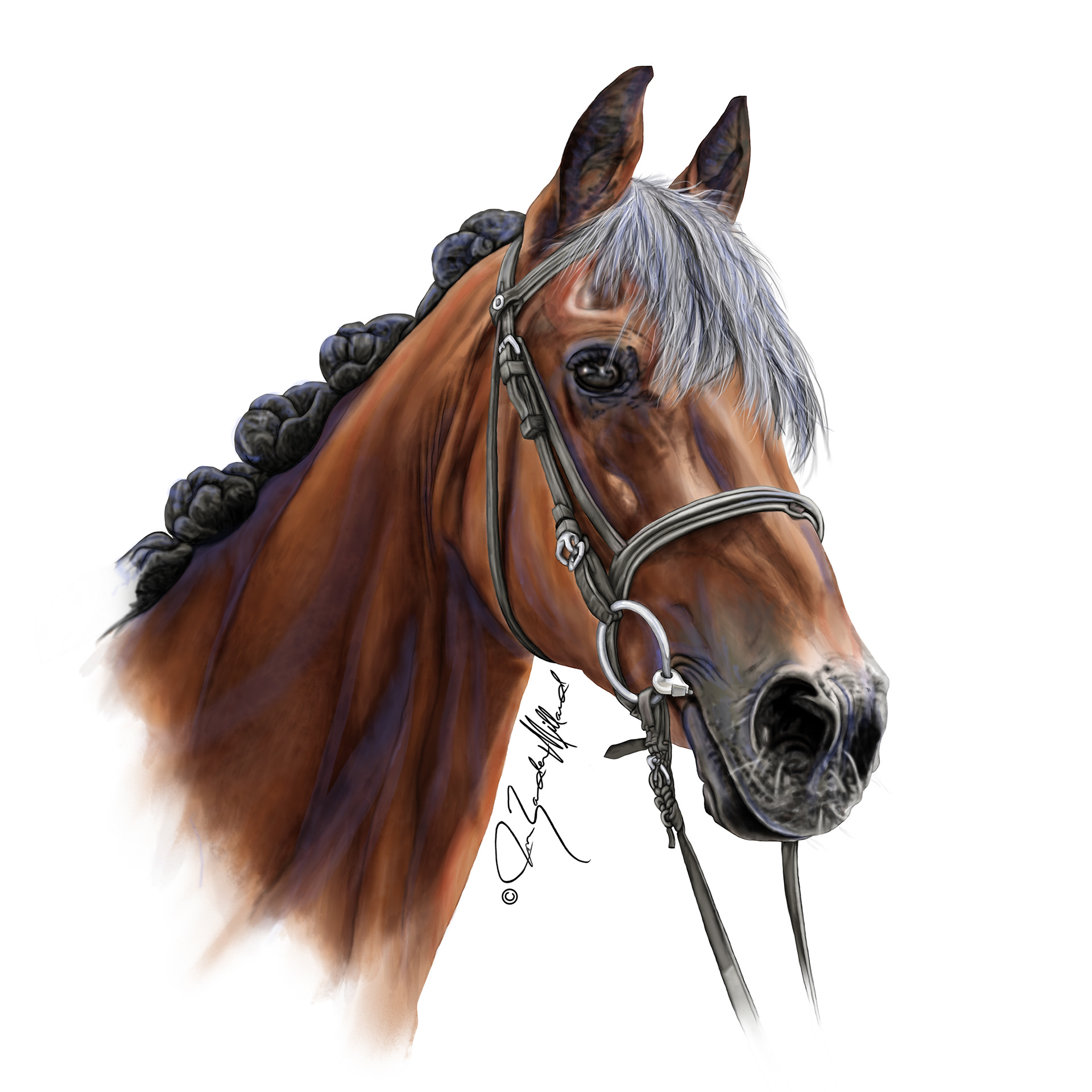 Watercolor painting of Monty the house by Joan Zander Millard, ZeeeArts