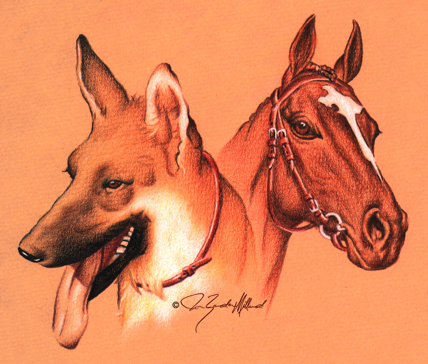 Dog and Horse portrait by Joan Zander Millard, ZeeeArts
