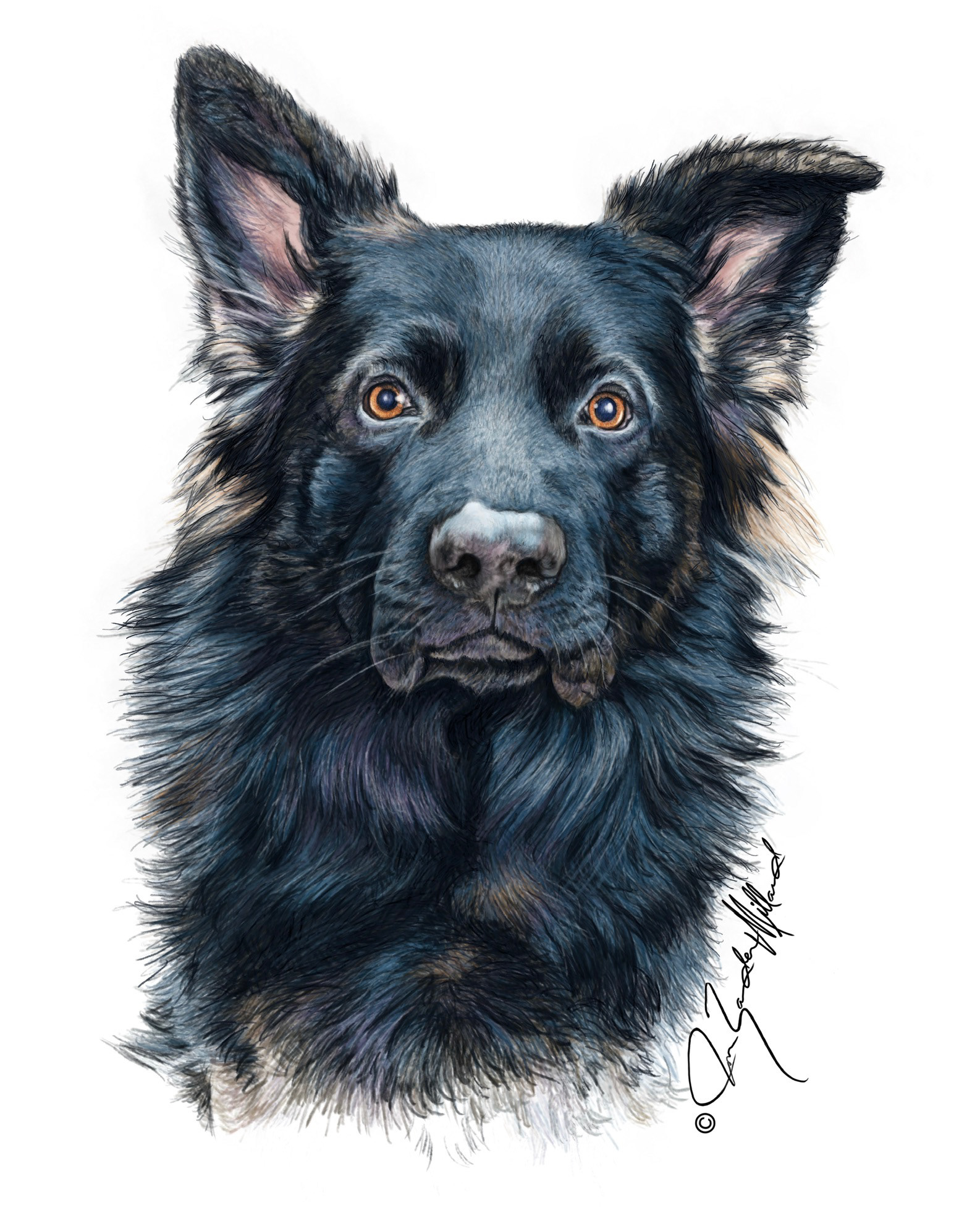 Pet portrait of Atlas by Joan Zander Millard, ZeeeArts