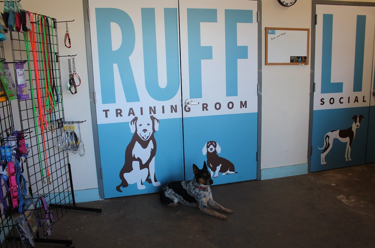 Interior Experiential Graphics/ Branding