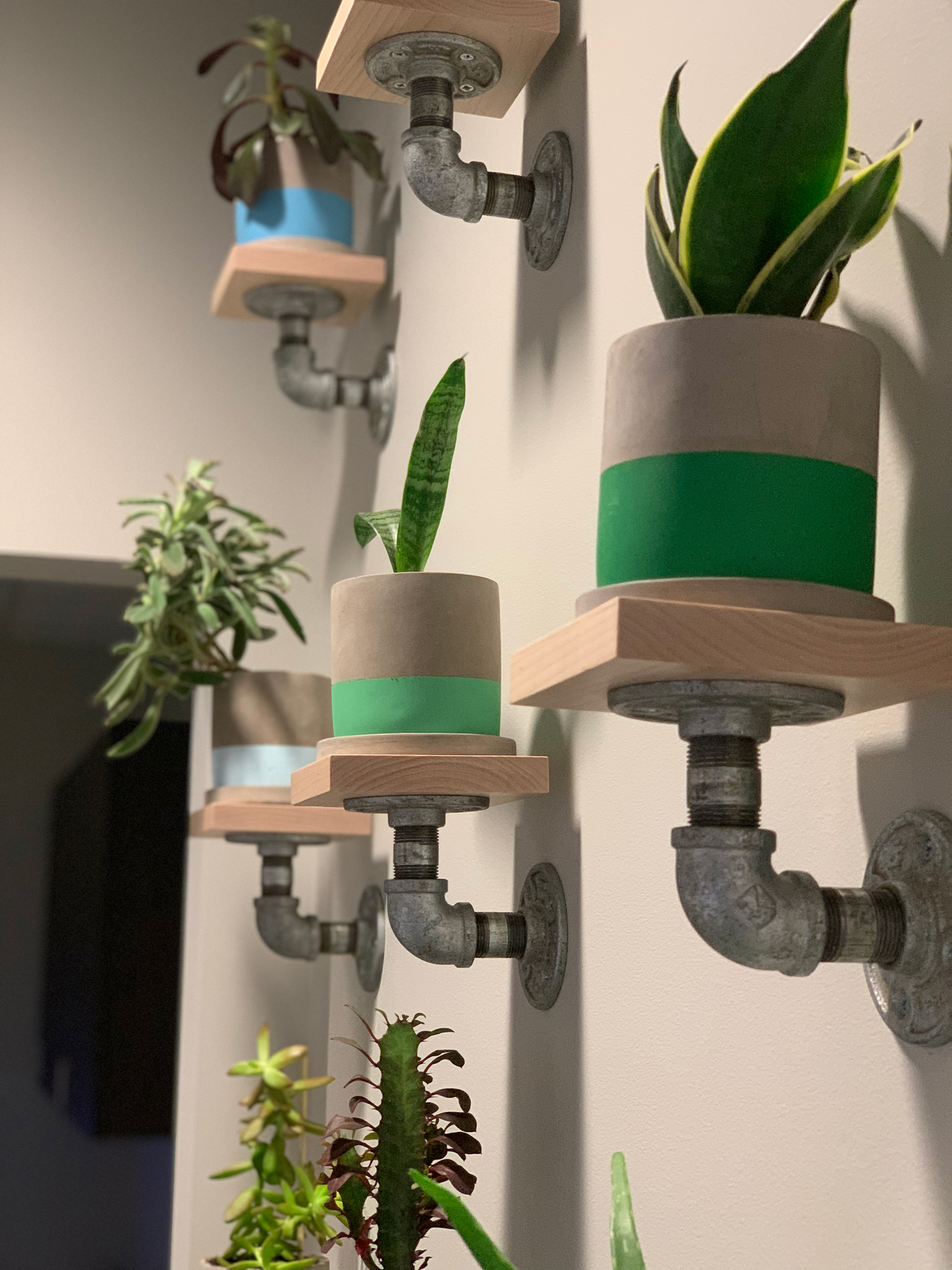 Experiential element (custom planters with brand colors)