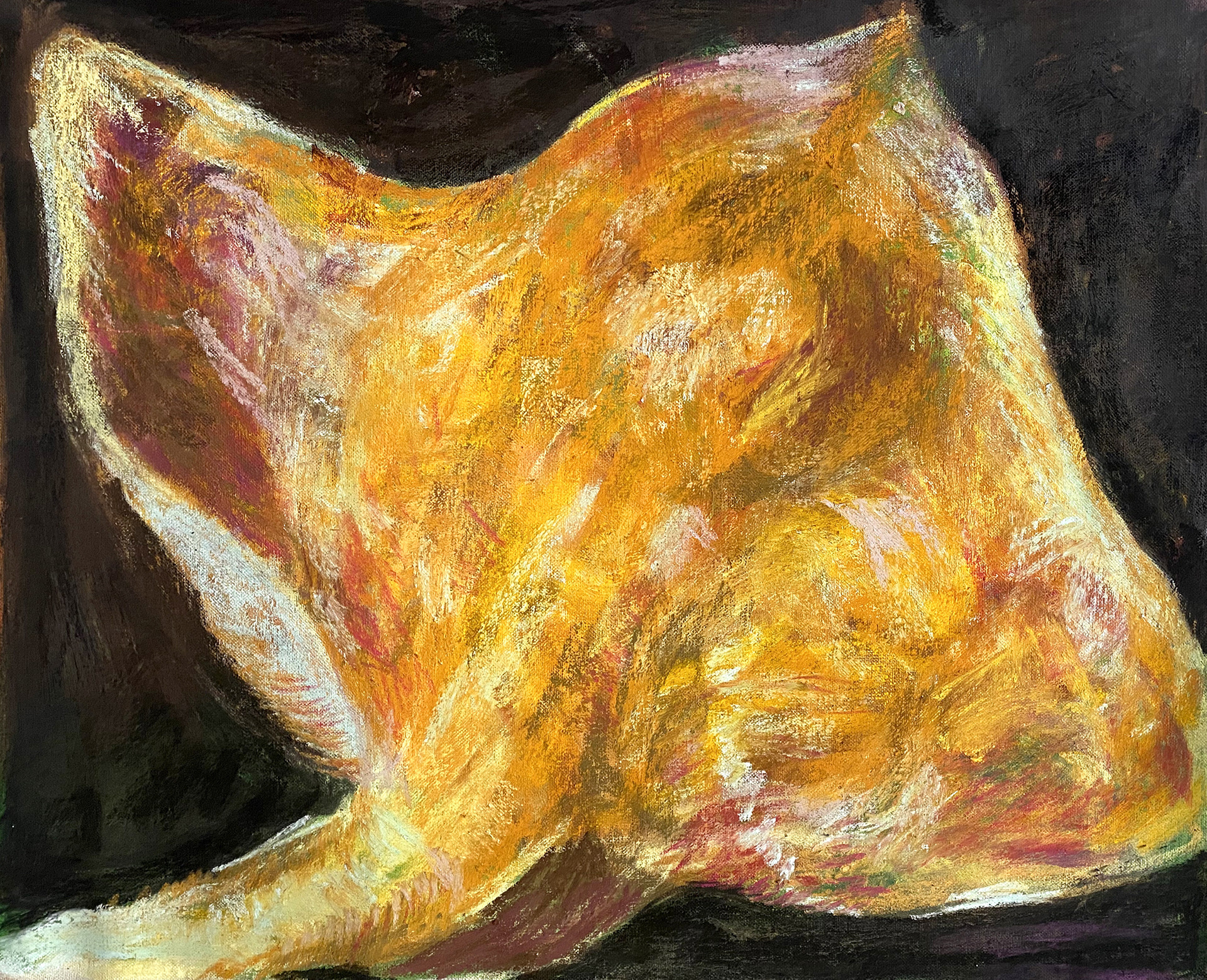 Ray n2, 2022. Oil and pastel on canvas. 48 x 59 cm.