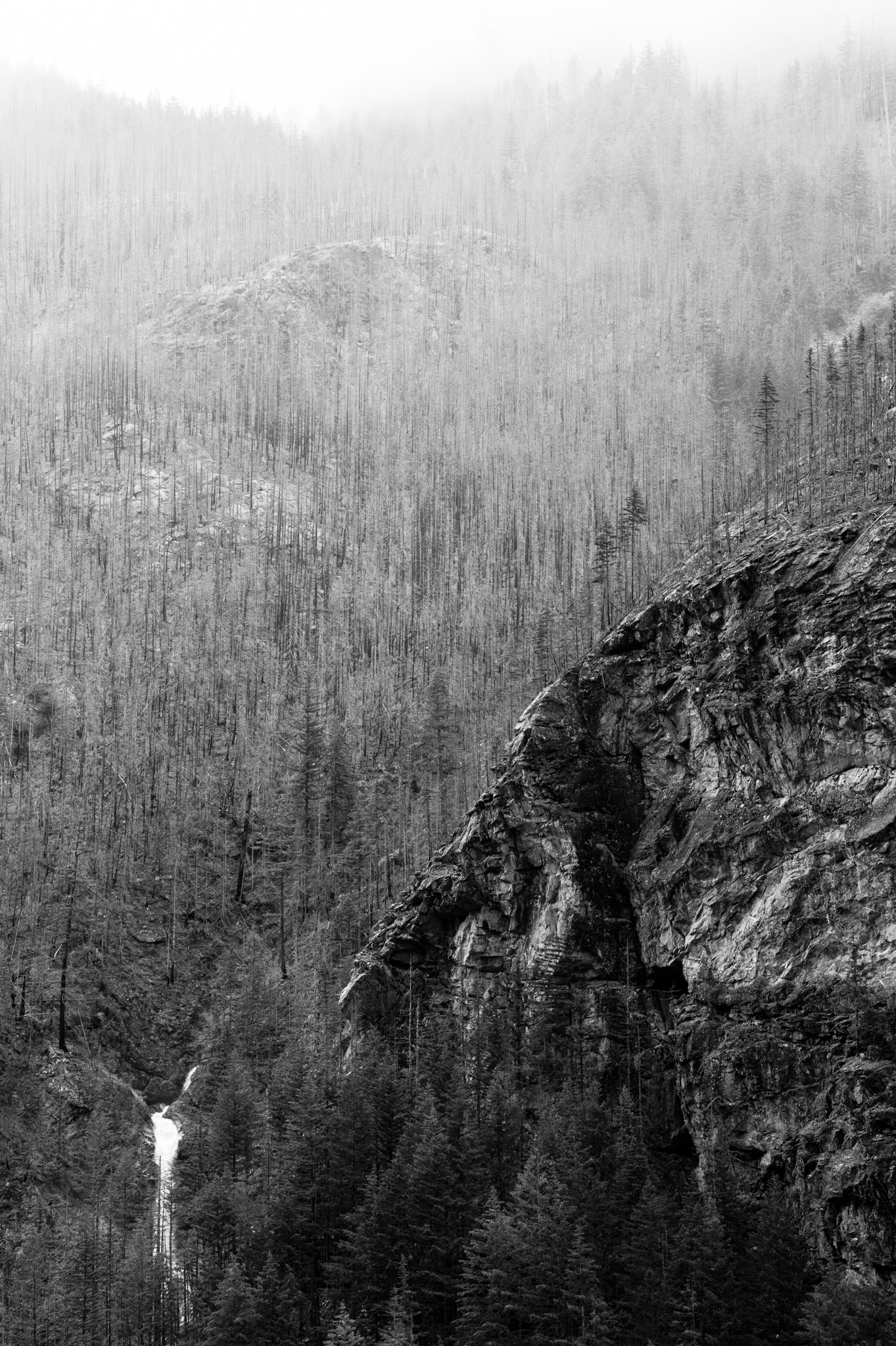 North Cascades National Park, USA, 2022